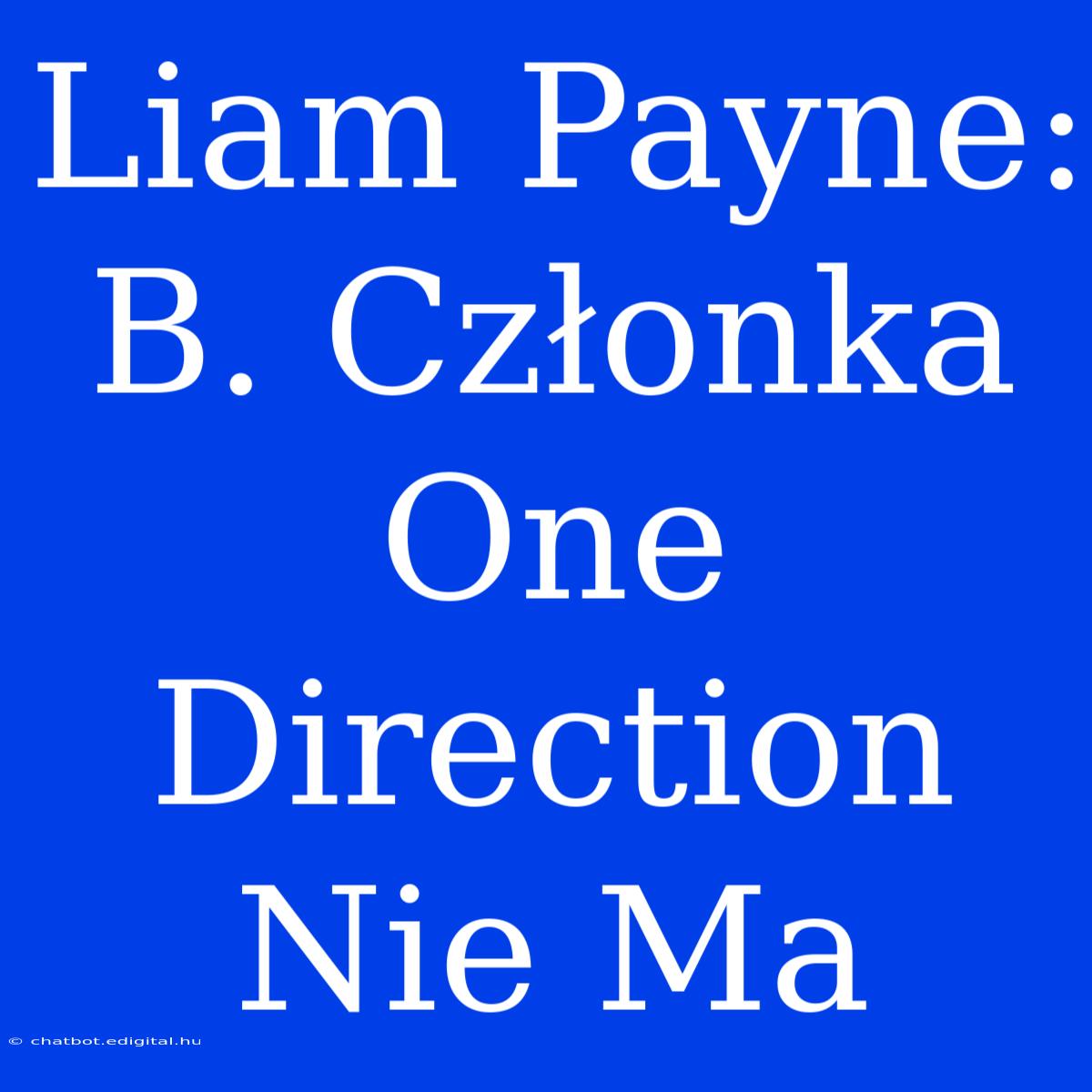 Liam Payne: B. Członka One Direction Nie Ma