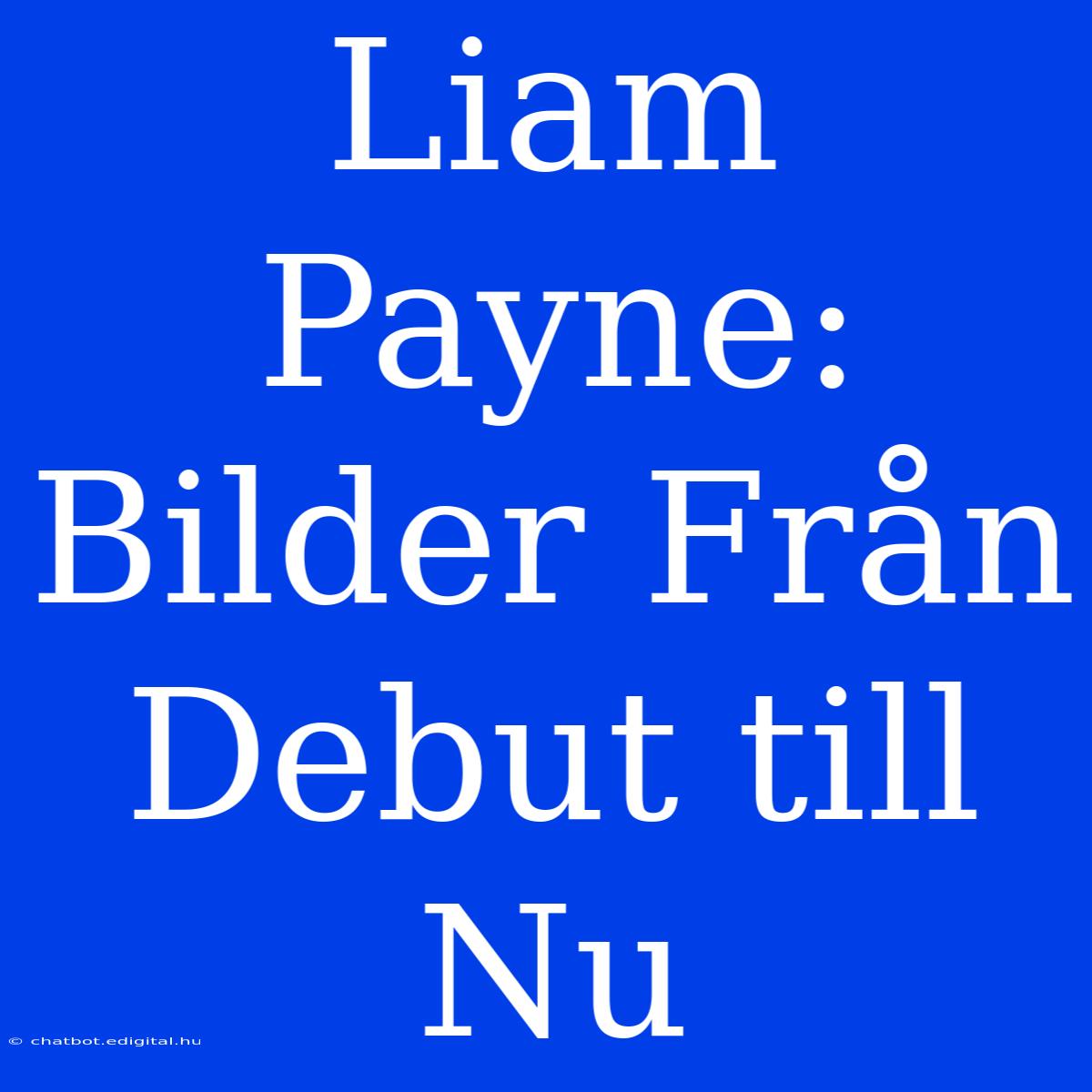 Liam Payne: Bilder Från Debut Till Nu