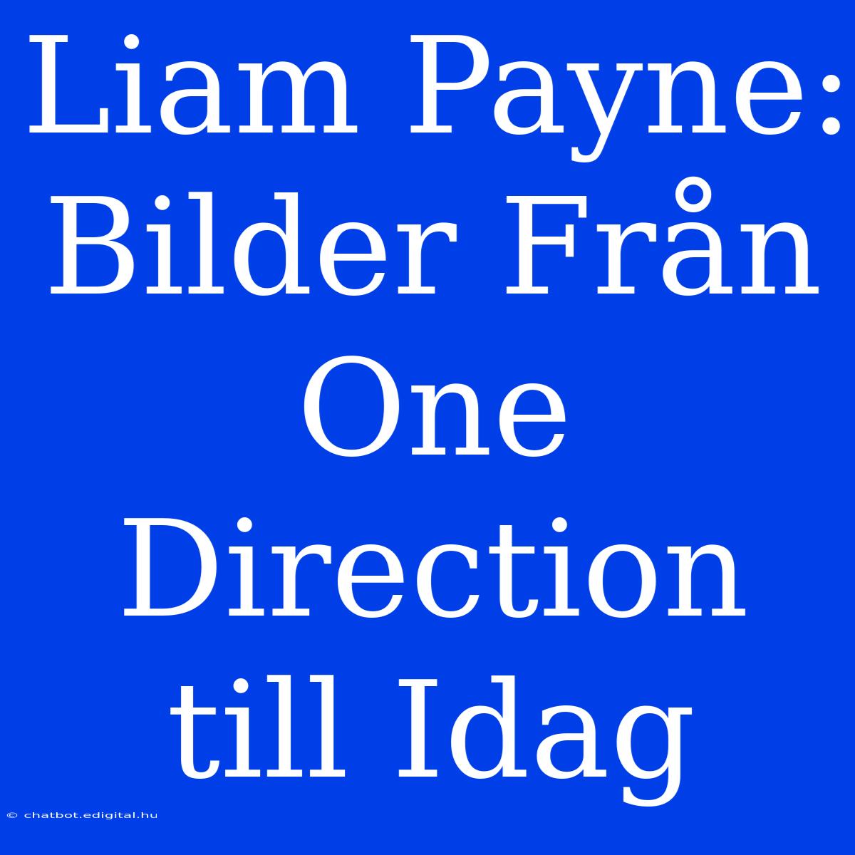 Liam Payne: Bilder Från One Direction Till Idag