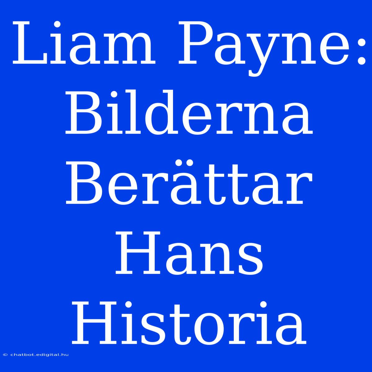 Liam Payne: Bilderna Berättar Hans Historia