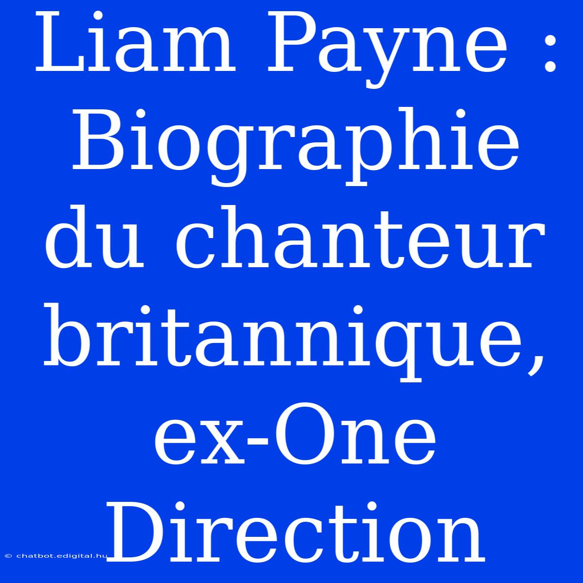 Liam Payne : Biographie Du Chanteur Britannique, Ex-One Direction