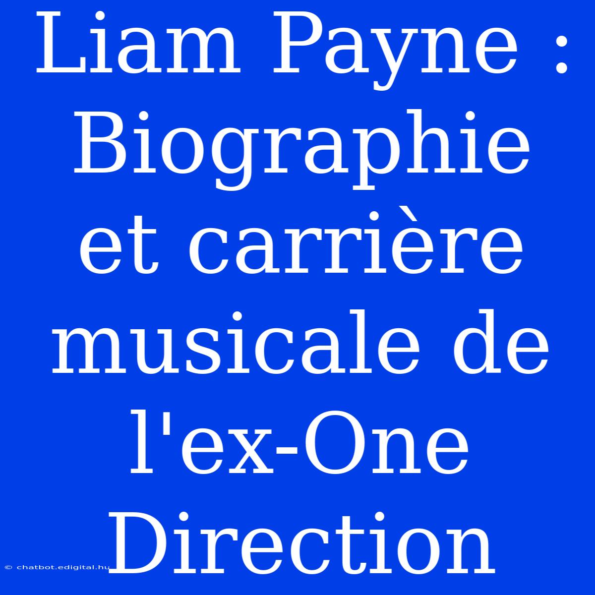 Liam Payne : Biographie Et Carrière Musicale De L'ex-One Direction