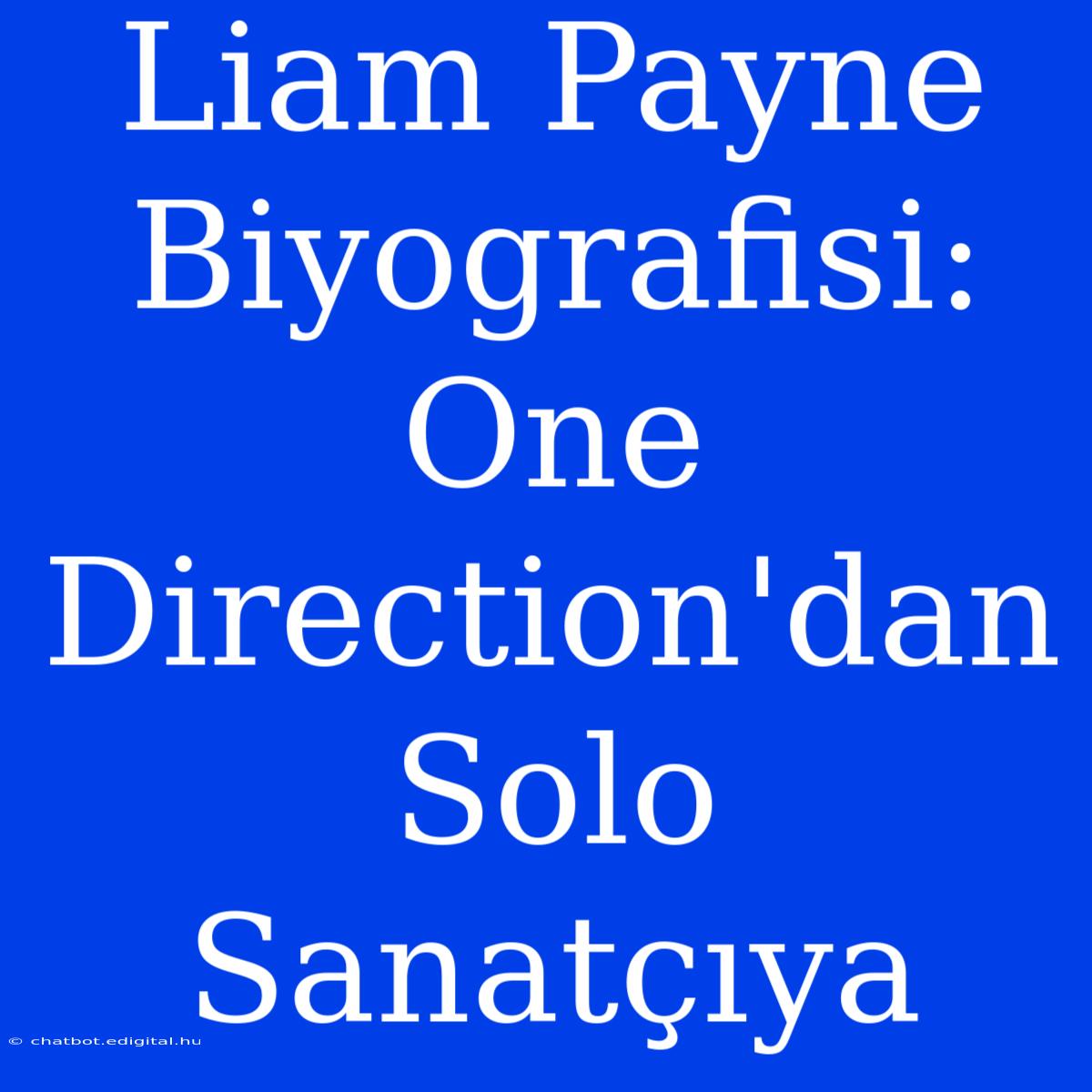 Liam Payne Biyografisi: One Direction'dan Solo Sanatçıya