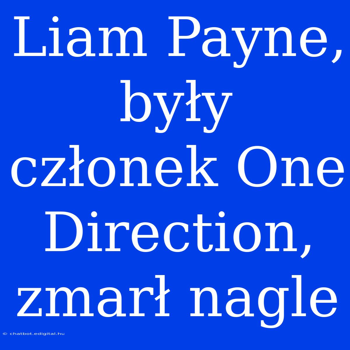 Liam Payne, Były Członek One Direction, Zmarł Nagle