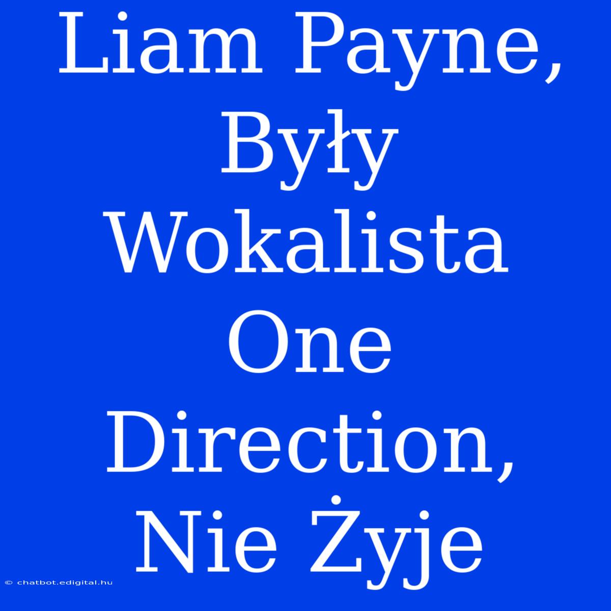 Liam Payne, Były Wokalista One Direction, Nie Żyje