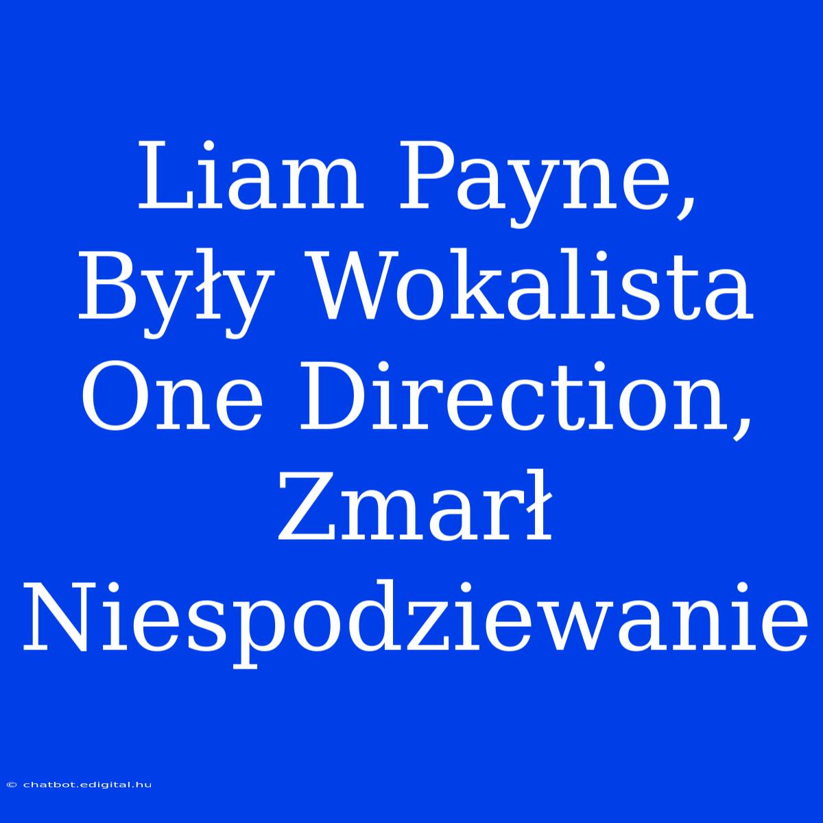 Liam Payne, Były Wokalista One Direction, Zmarł Niespodziewanie