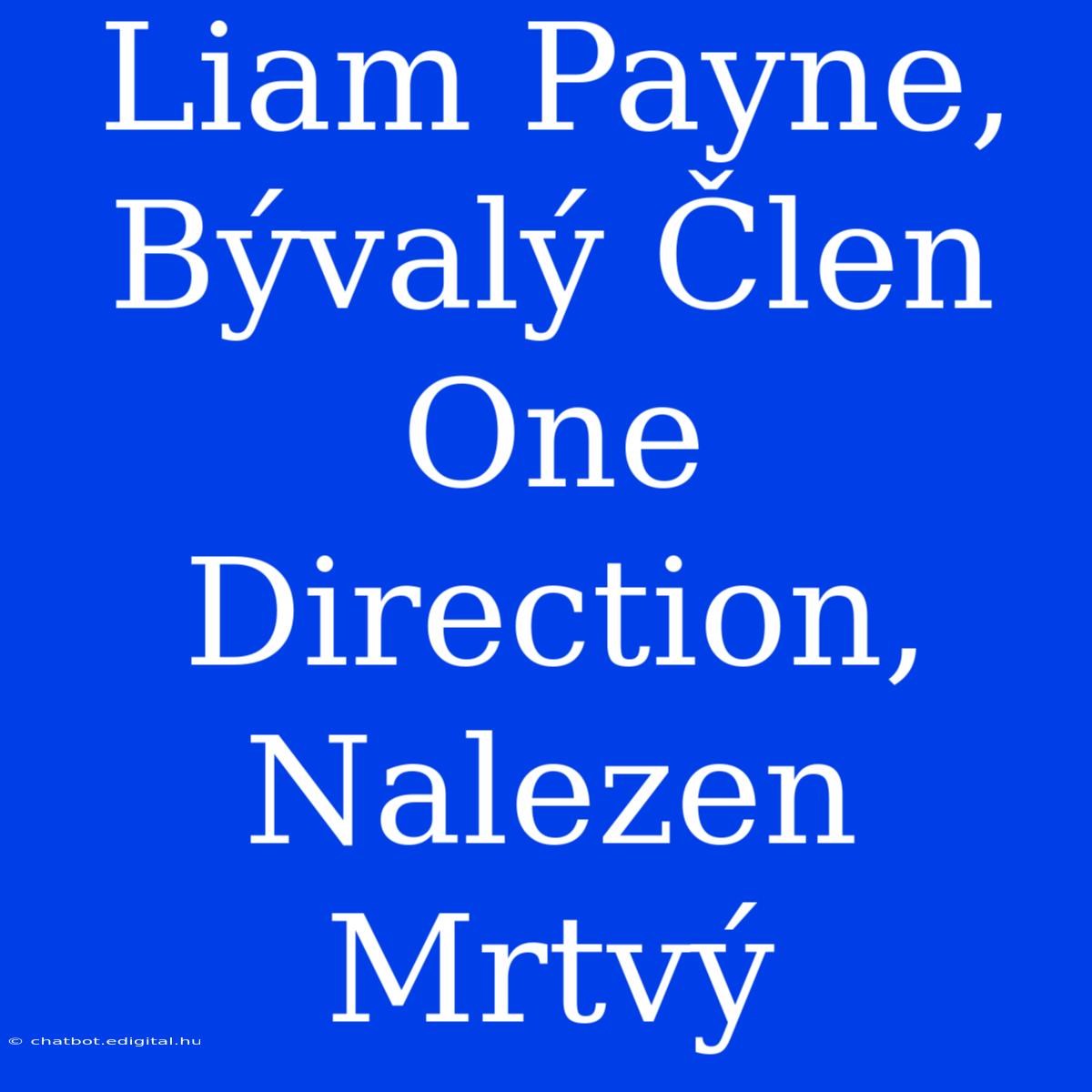 Liam Payne, Bývalý Člen One Direction, Nalezen Mrtvý