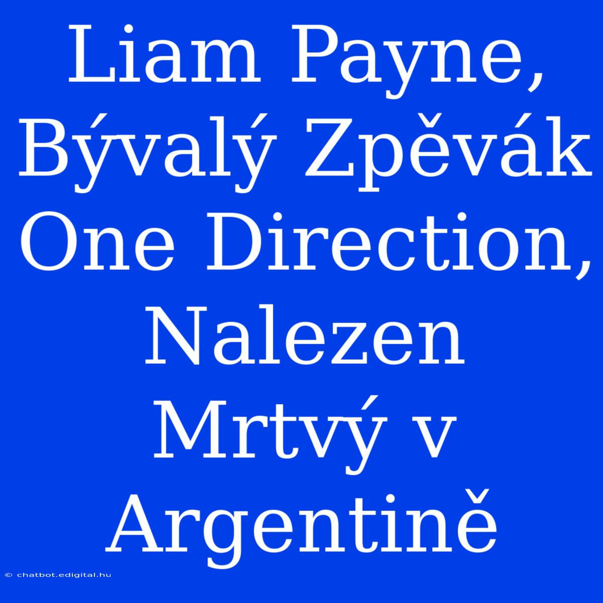 Liam Payne, Bývalý Zpěvák One Direction, Nalezen Mrtvý V Argentině