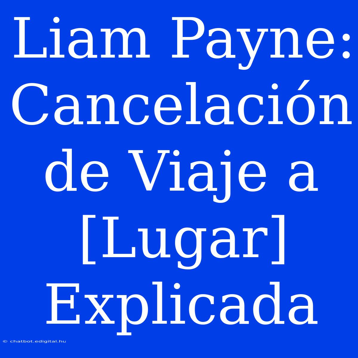 Liam Payne:  Cancelación De Viaje A [Lugar] Explicada 