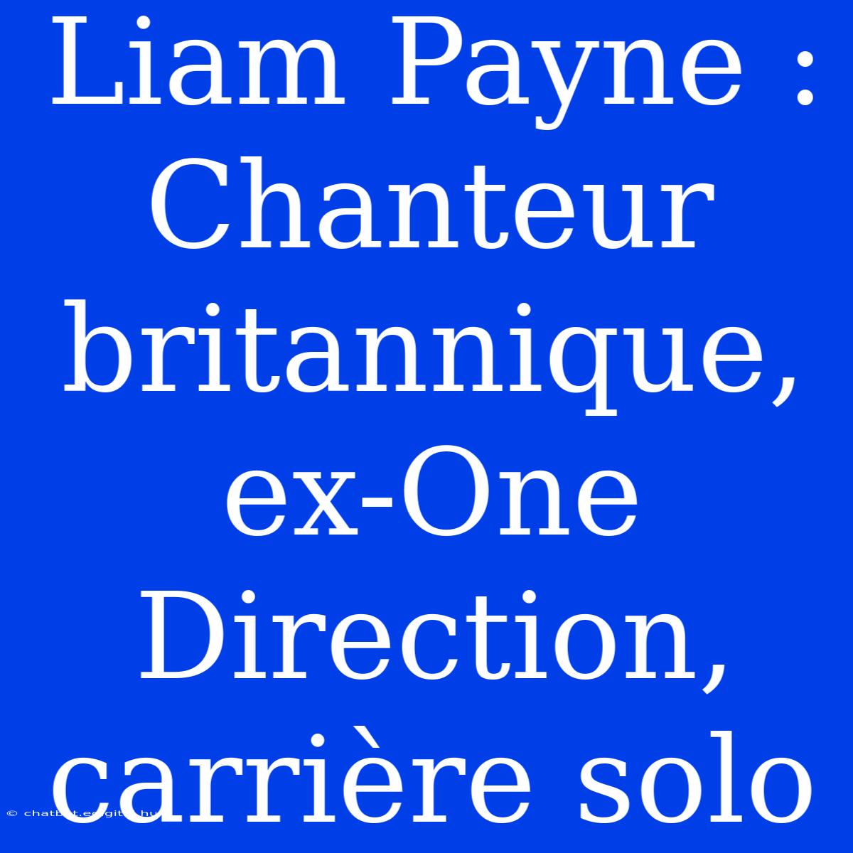 Liam Payne : Chanteur Britannique, Ex-One Direction, Carrière Solo