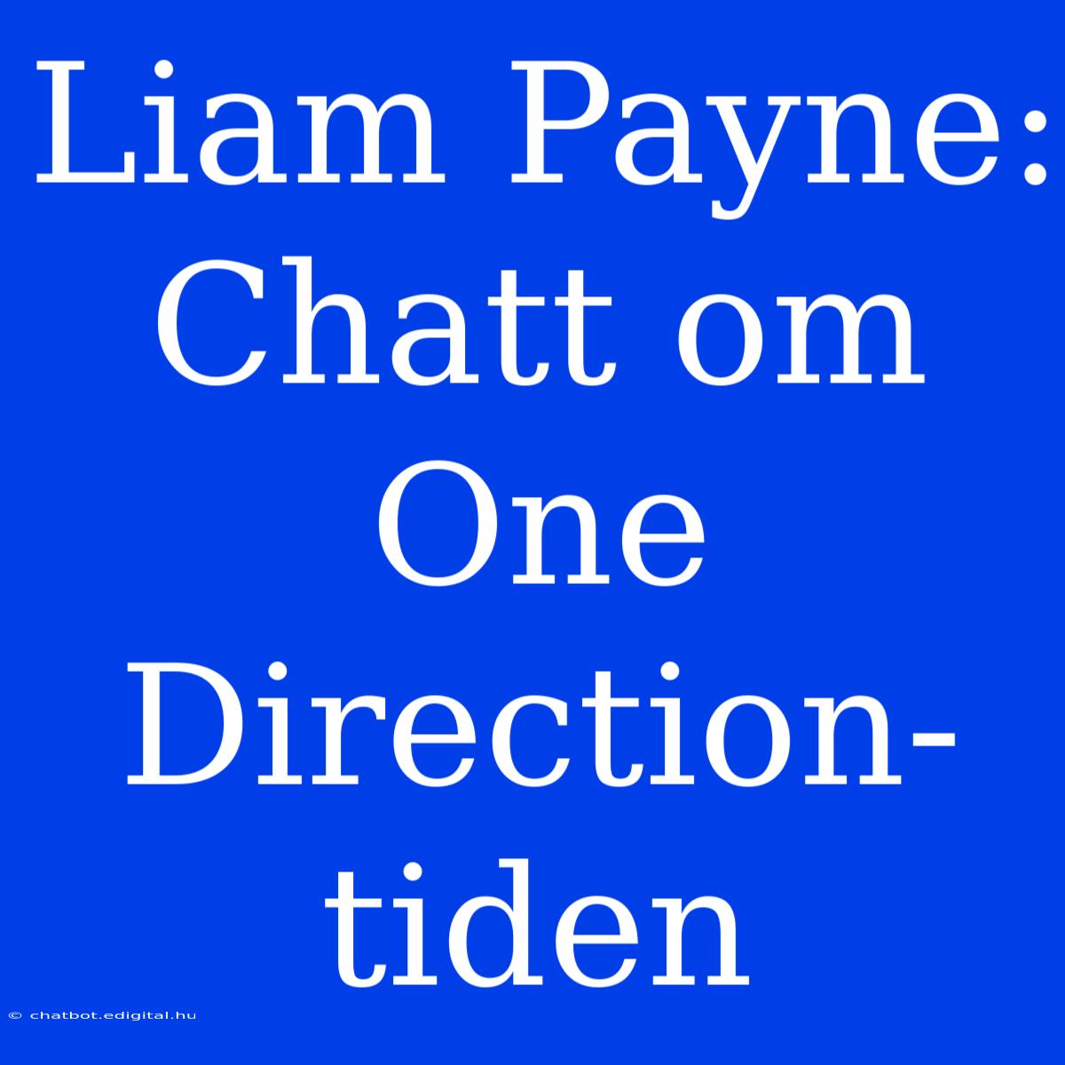 Liam Payne: Chatt Om One Direction-tiden 