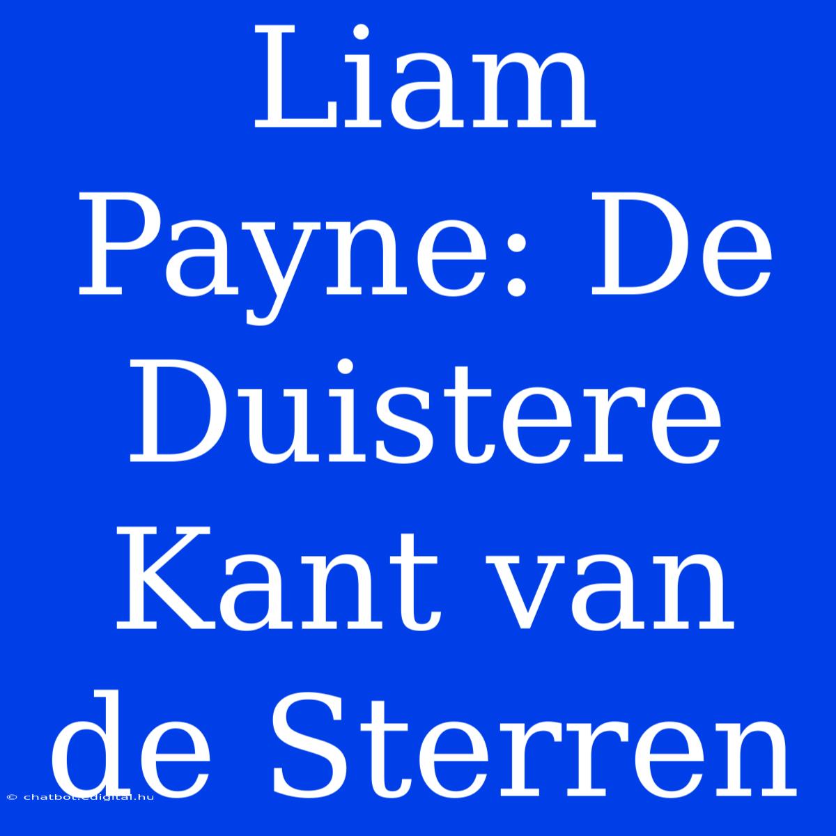 Liam Payne: De Duistere Kant Van De Sterren