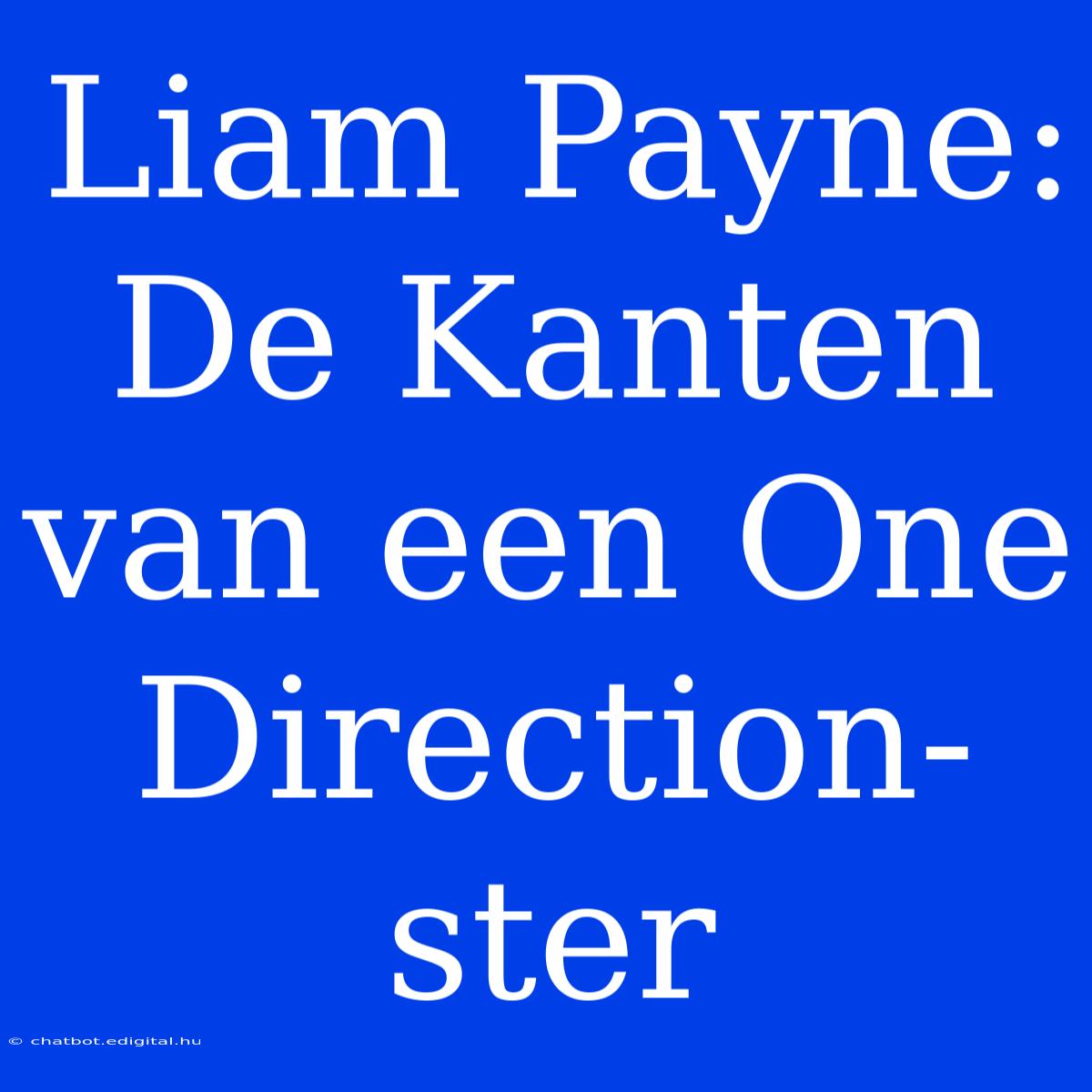 Liam Payne: De Kanten Van Een One Direction-ster