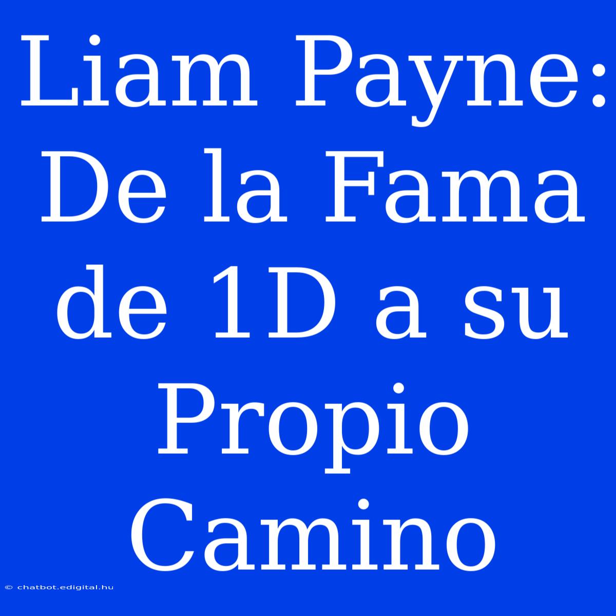 Liam Payne: De La Fama De 1D A Su Propio Camino 