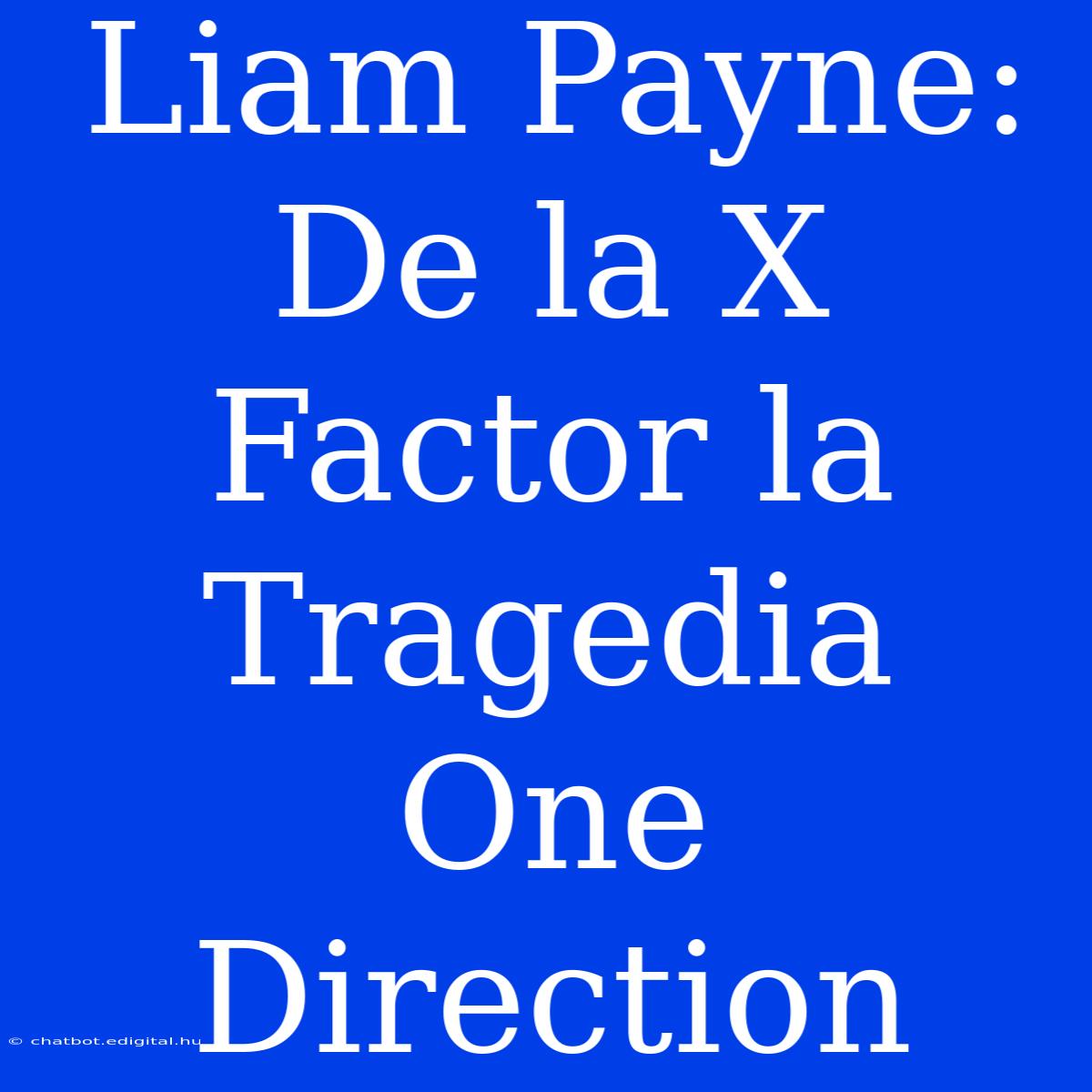 Liam Payne: De La X Factor La Tragedia One Direction