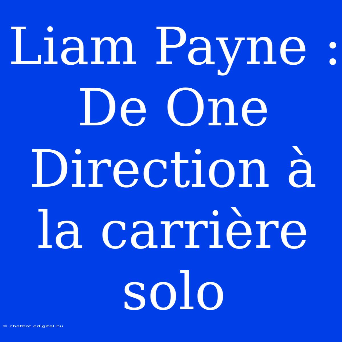 Liam Payne : De One Direction À La Carrière Solo