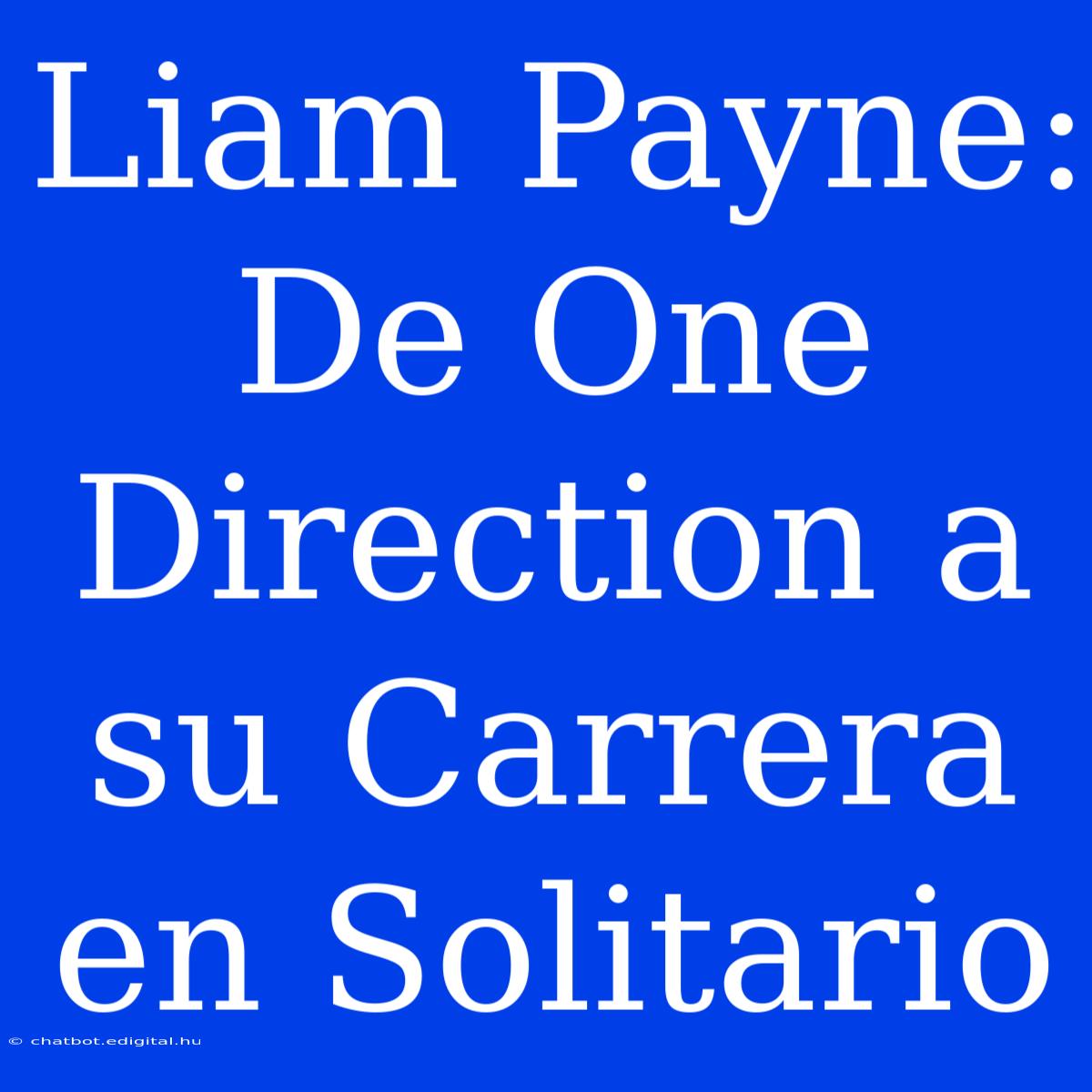 Liam Payne: De One Direction A Su Carrera En Solitario