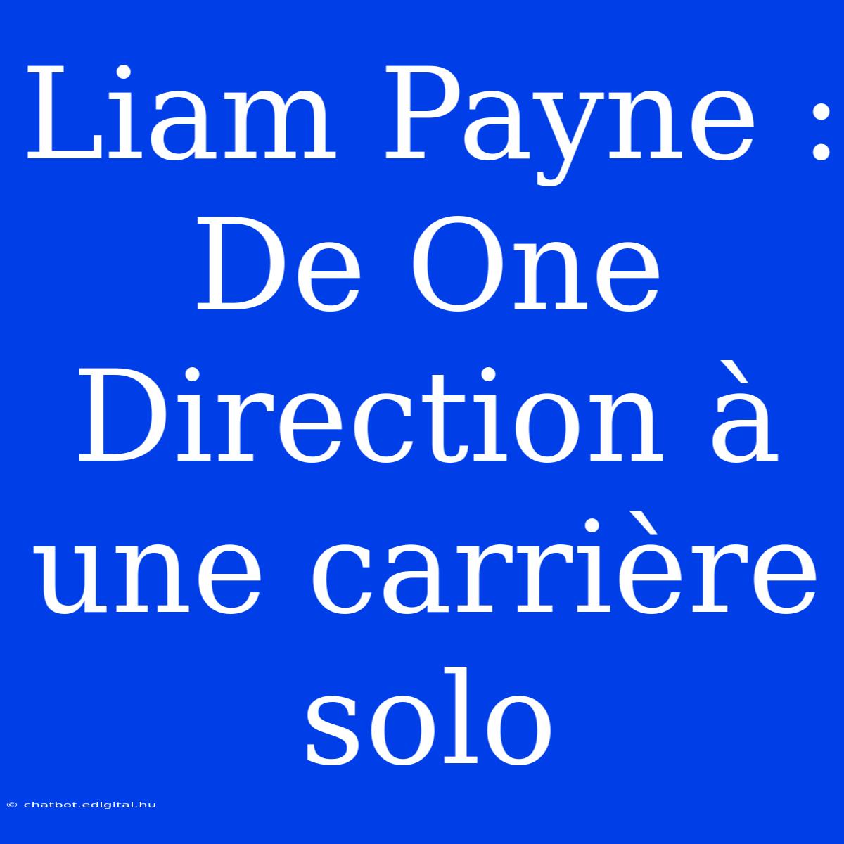 Liam Payne : De One Direction À Une Carrière Solo