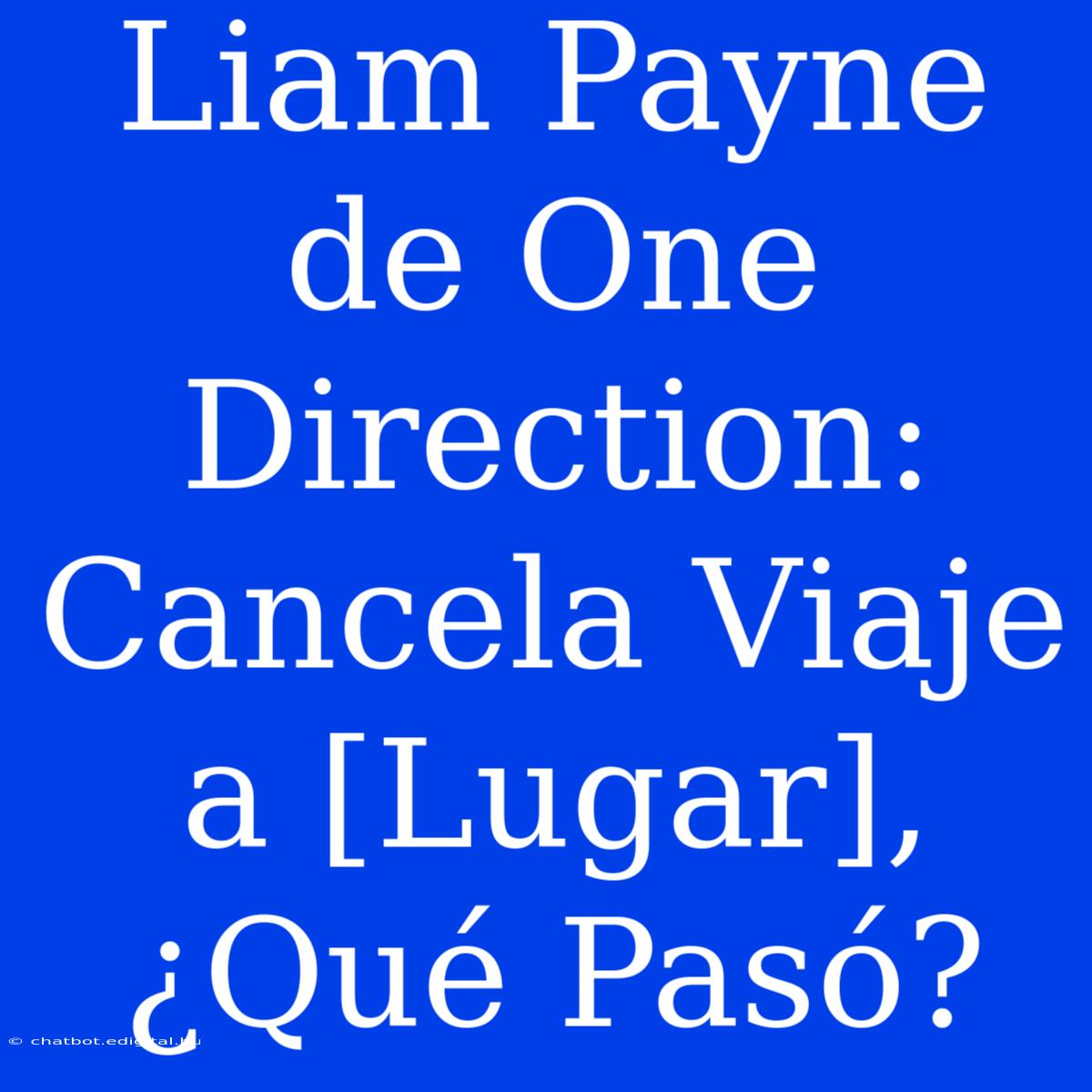 Liam Payne De One Direction:  Cancela Viaje A [Lugar], ¿Qué Pasó?