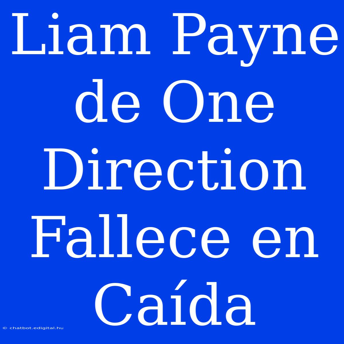 Liam Payne De One Direction Fallece En Caída