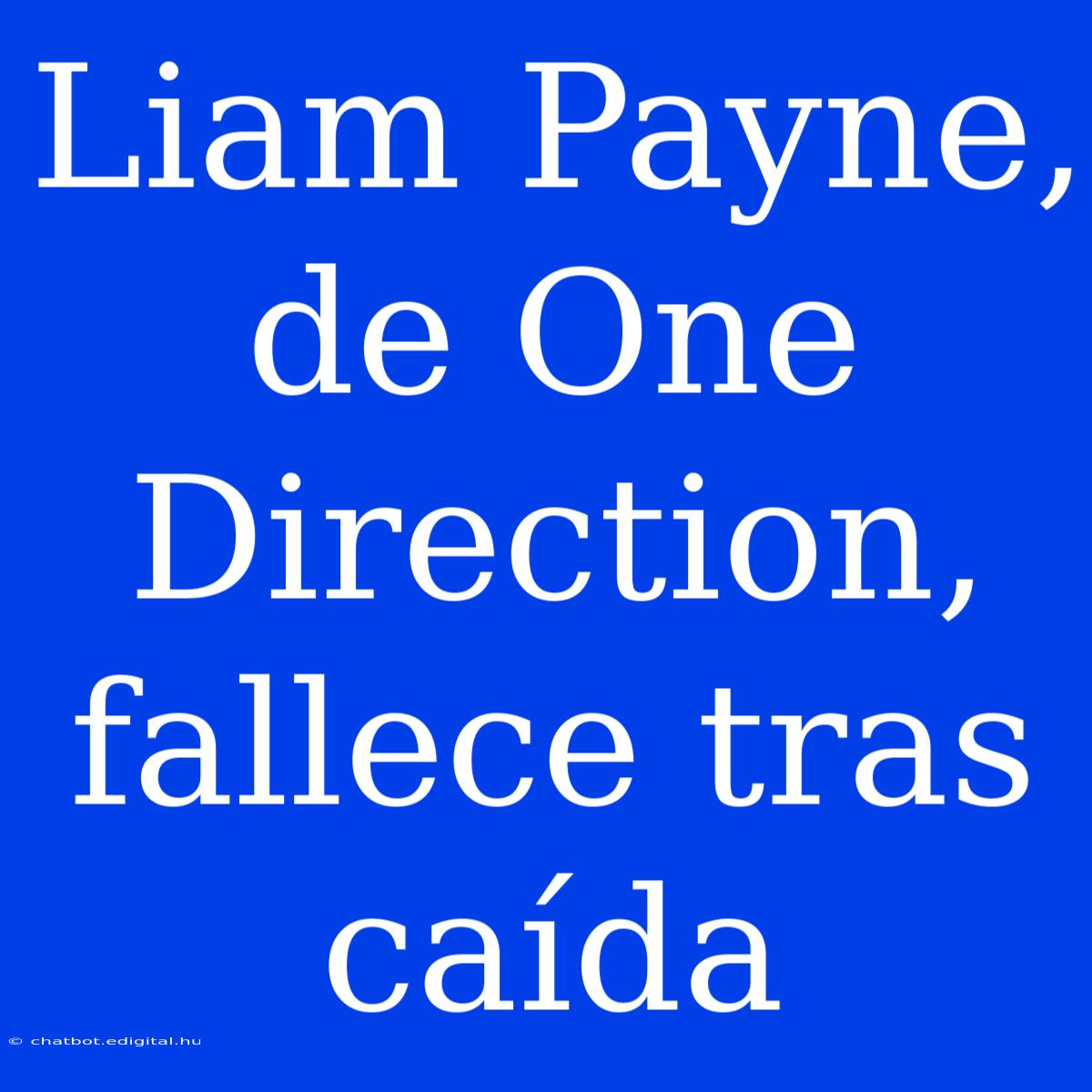 Liam Payne, De One Direction, Fallece Tras Caída