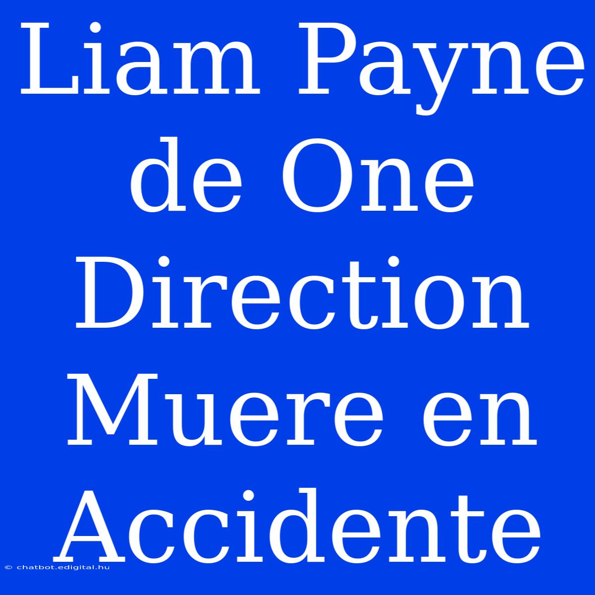 Liam Payne De One Direction Muere En Accidente