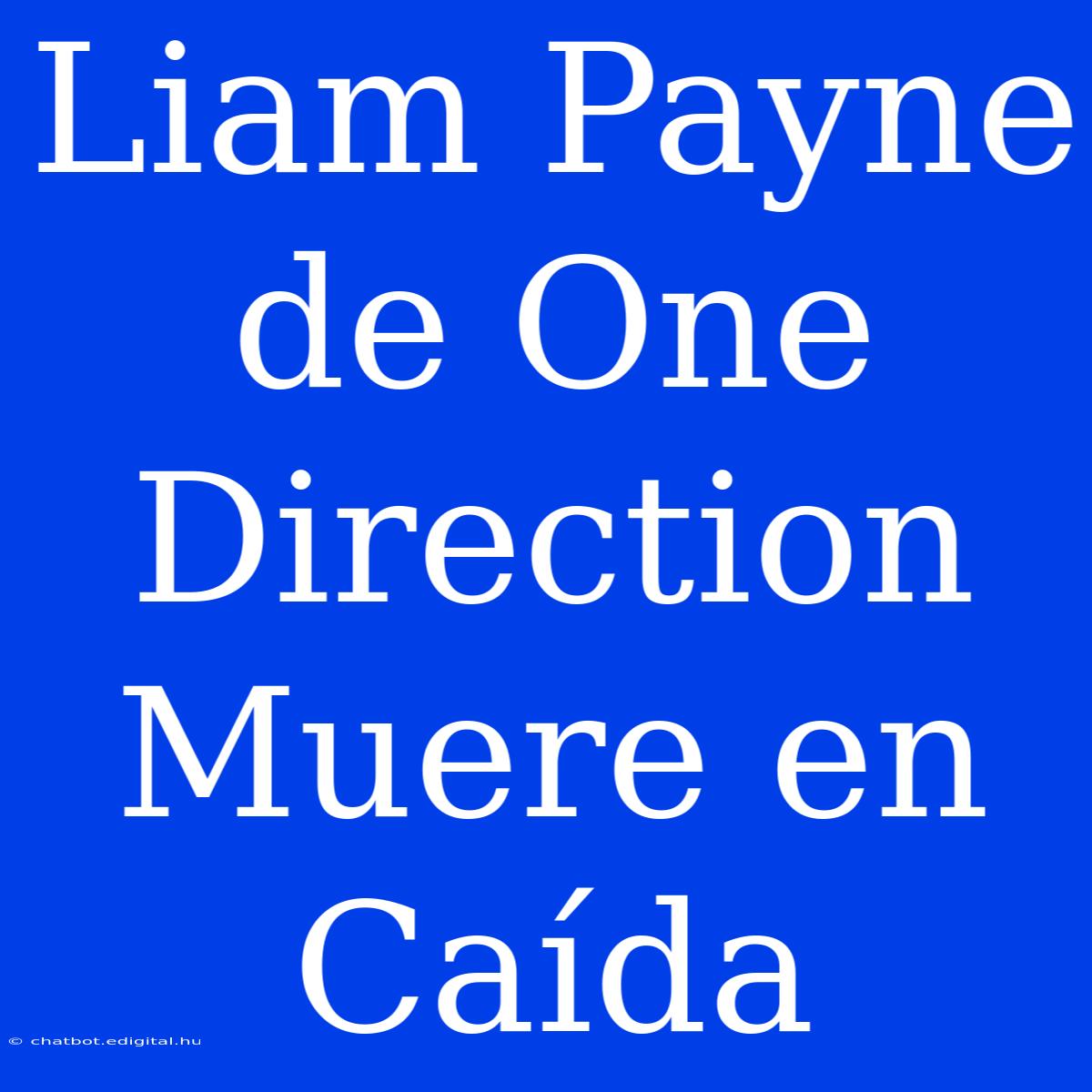 Liam Payne De One Direction Muere En Caída