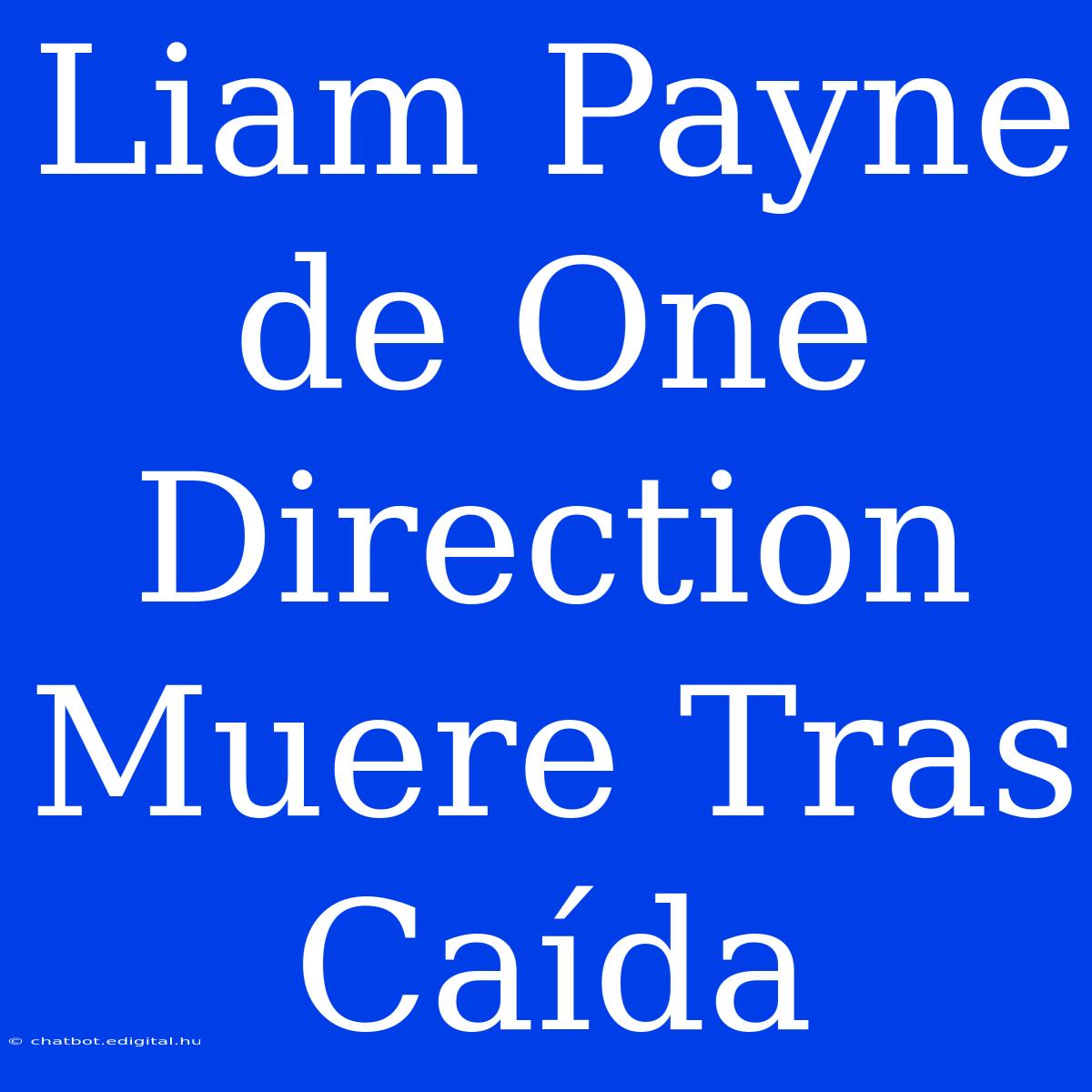 Liam Payne De One Direction Muere Tras Caída