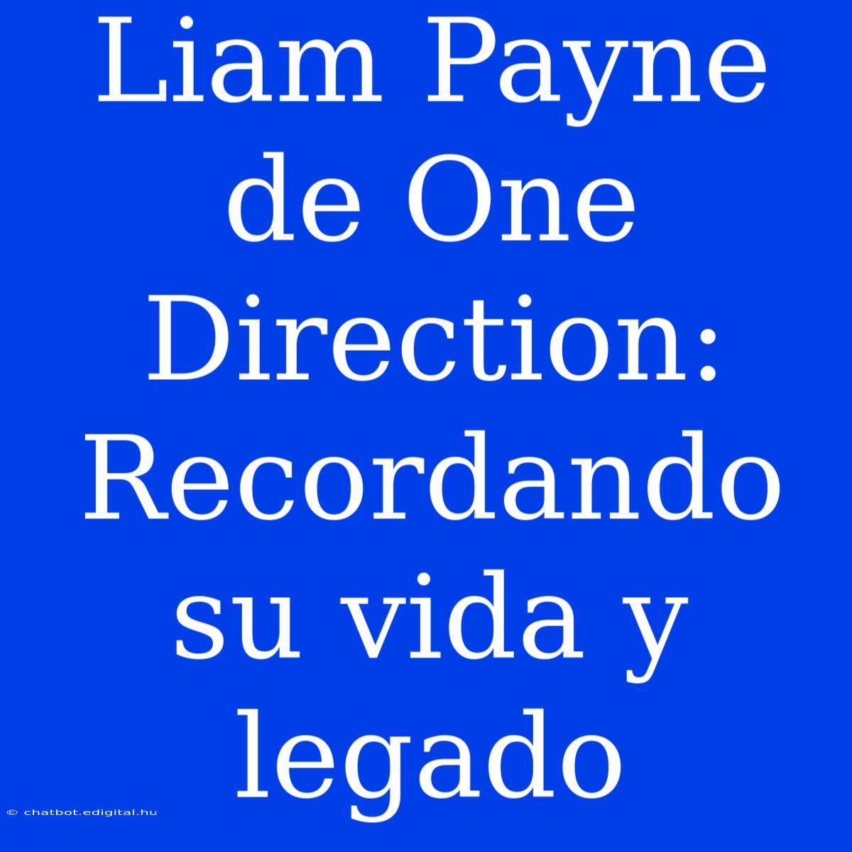 Liam Payne De One Direction: Recordando Su Vida Y Legado