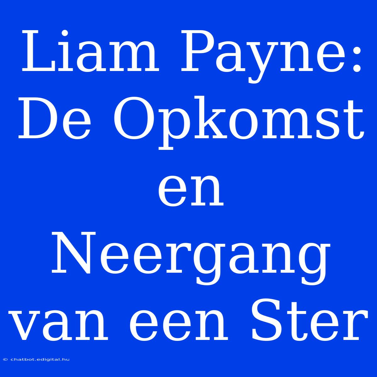 Liam Payne: De Opkomst En Neergang Van Een Ster