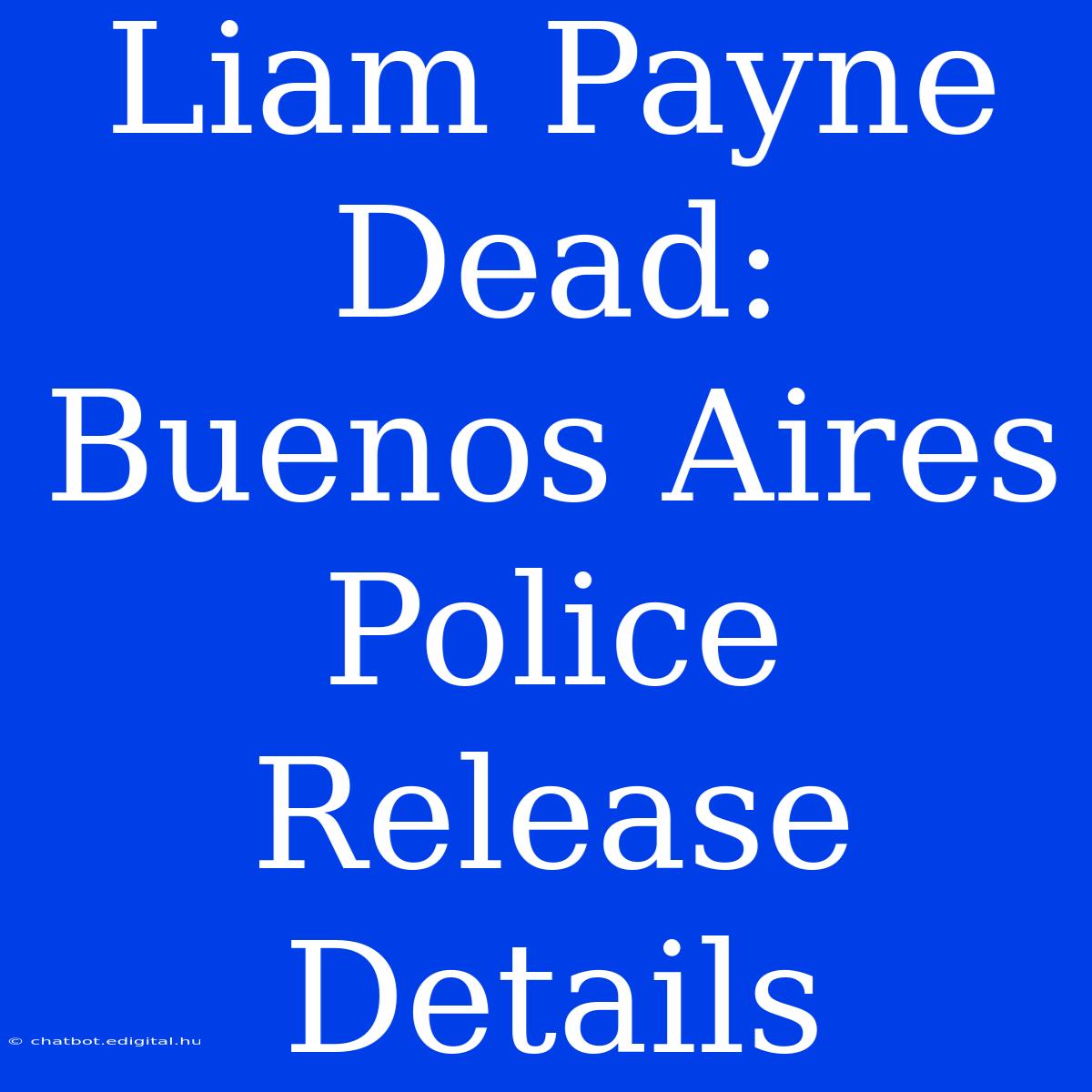 Liam Payne Dead: Buenos Aires Police Release Details