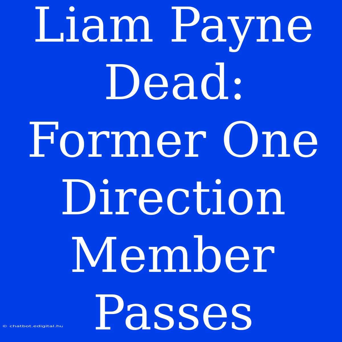 Liam Payne Dead: Former One Direction Member Passes