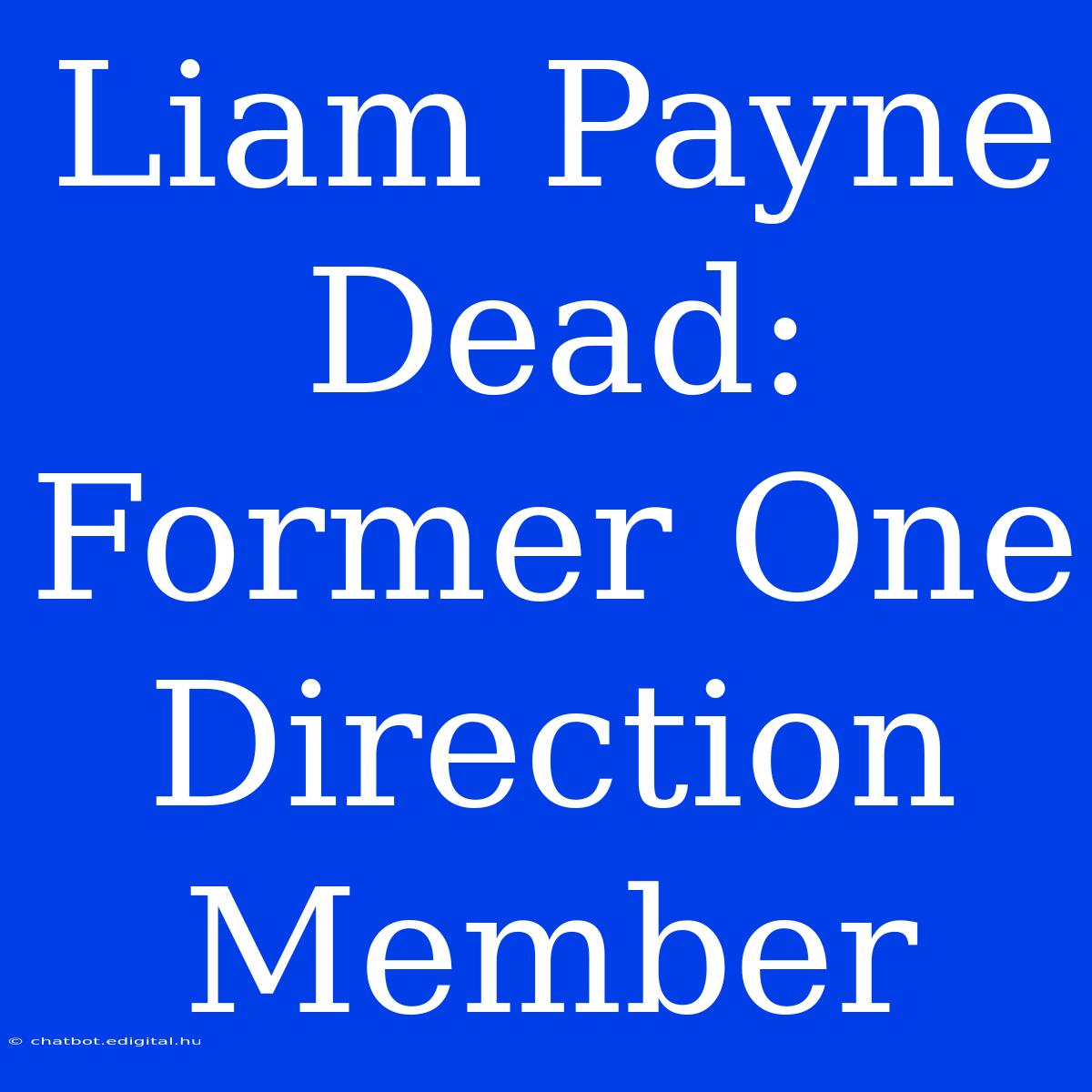 Liam Payne Dead: Former One Direction Member