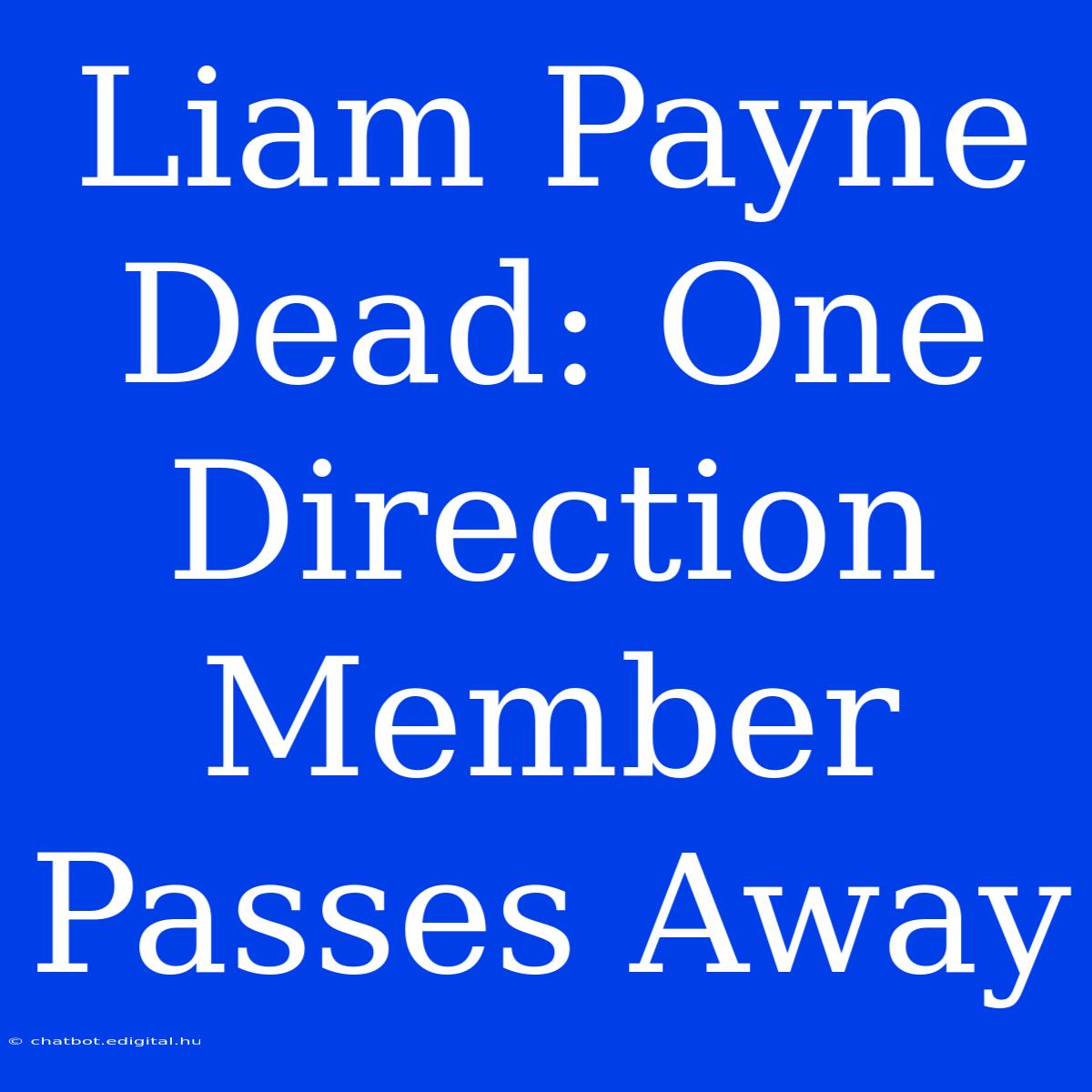 Liam Payne Dead: One Direction Member Passes Away