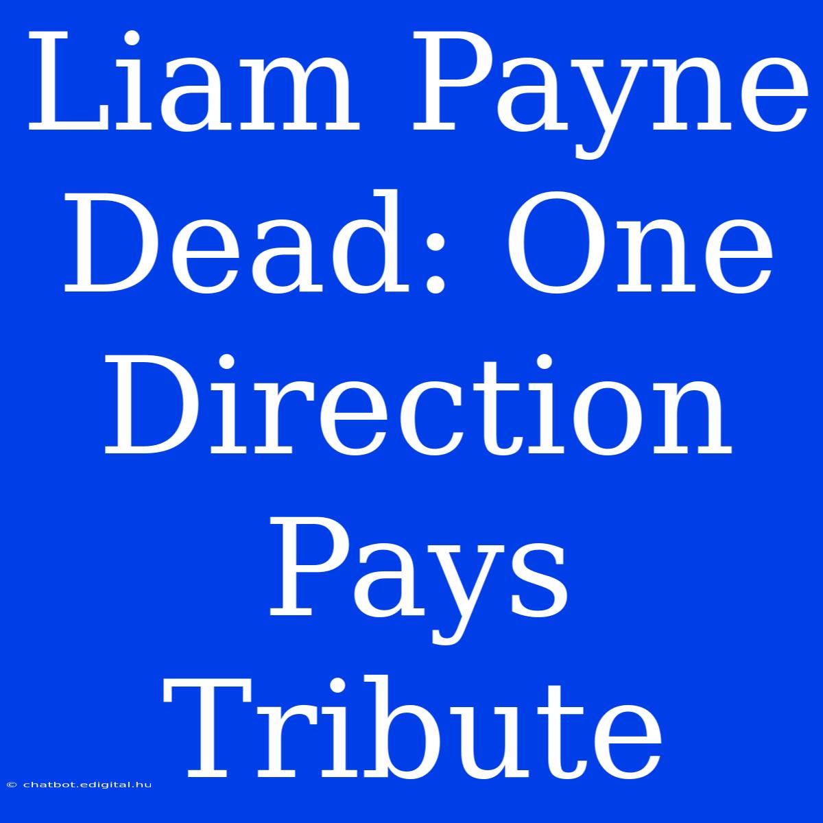 Liam Payne Dead: One Direction Pays Tribute