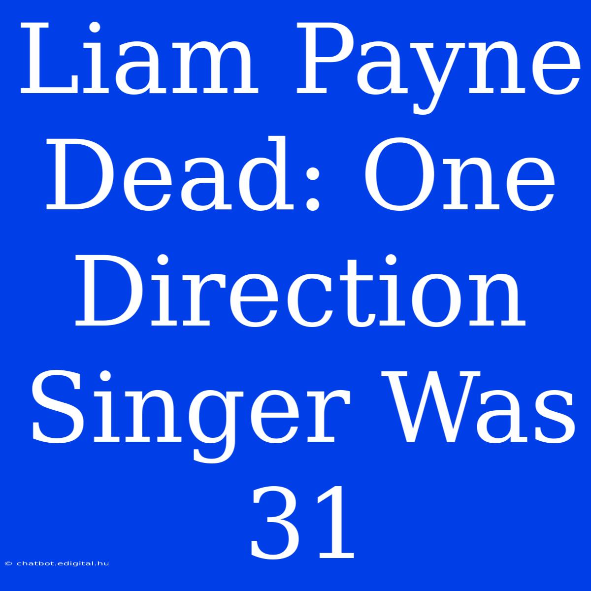 Liam Payne Dead: One Direction Singer Was 31