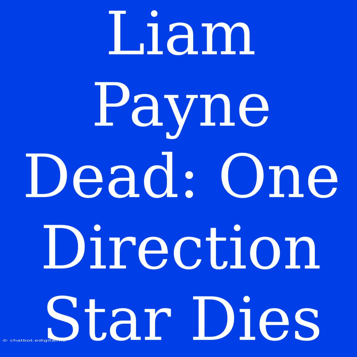 Liam Payne Dead: One Direction Star Dies 