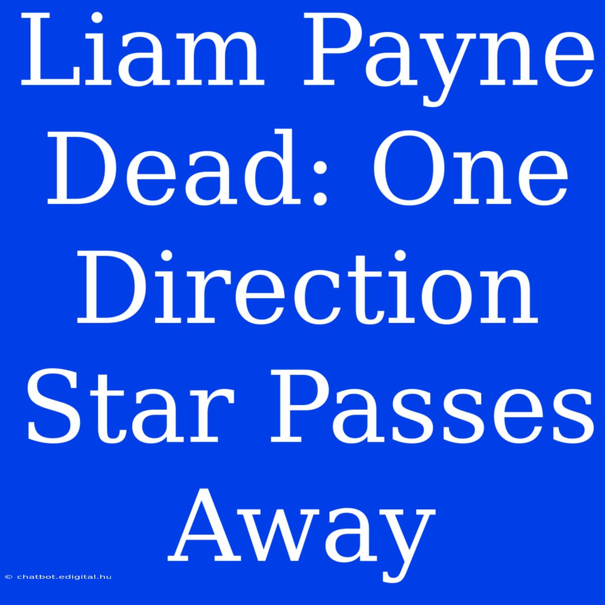 Liam Payne Dead: One Direction Star Passes Away 