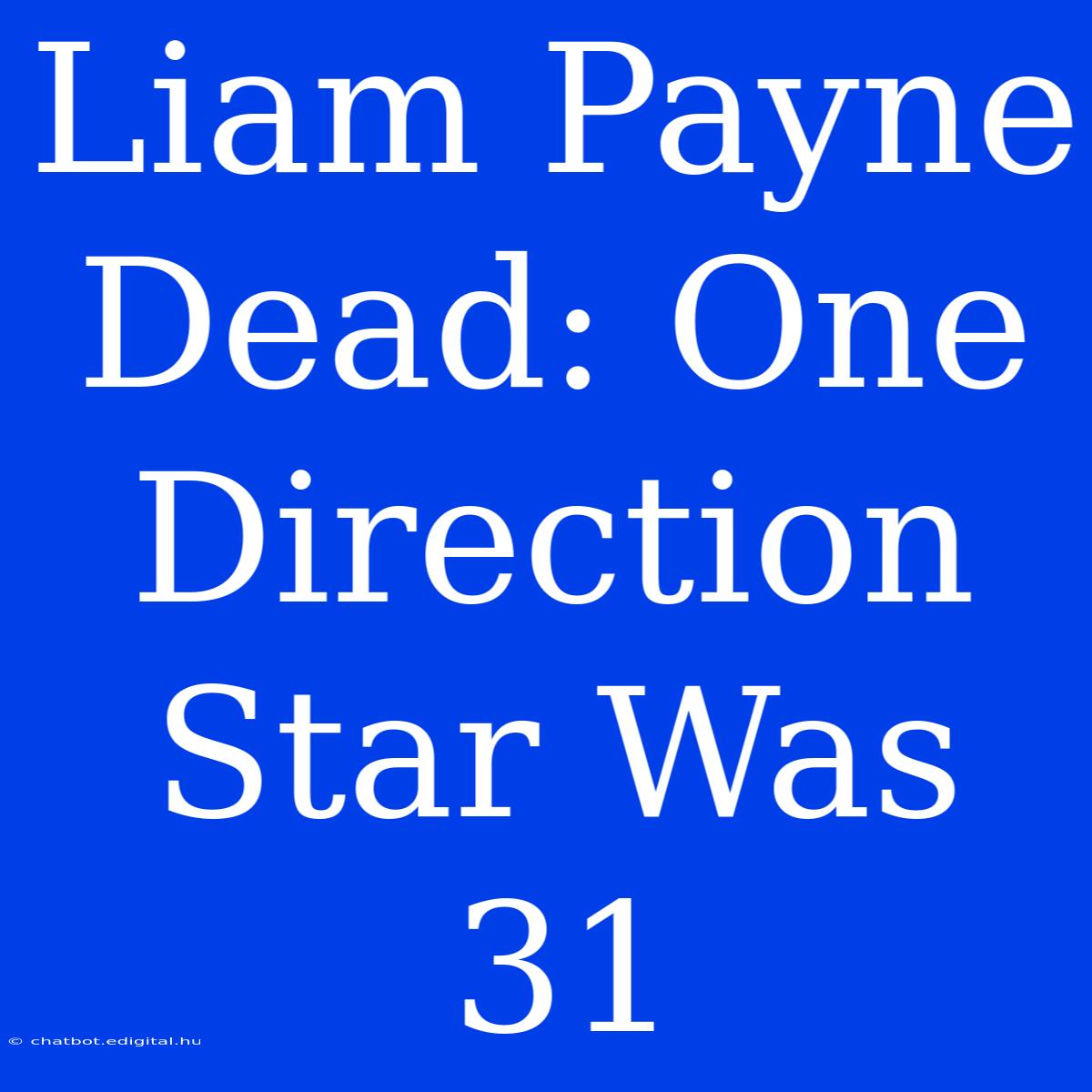 Liam Payne Dead: One Direction Star Was 31