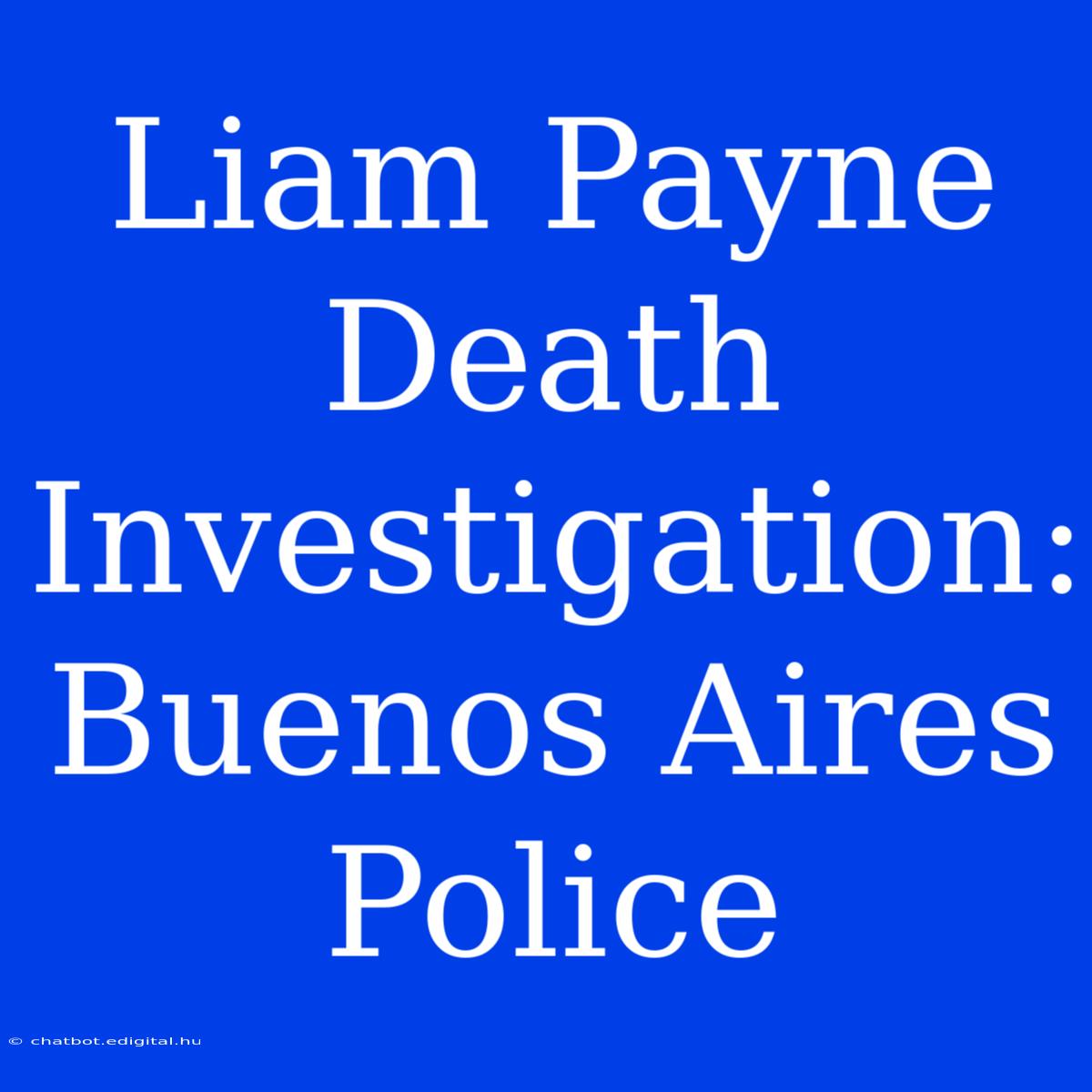 Liam Payne Death Investigation: Buenos Aires Police