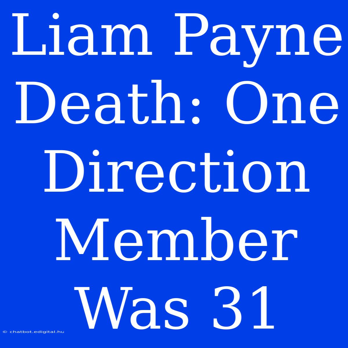 Liam Payne Death: One Direction Member Was 31