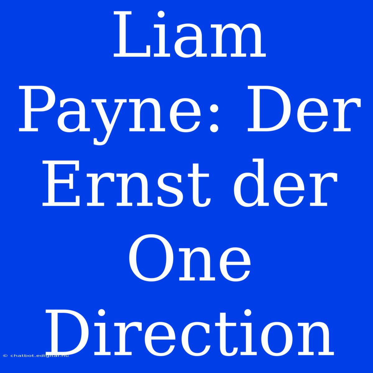 Liam Payne: Der Ernst Der One Direction