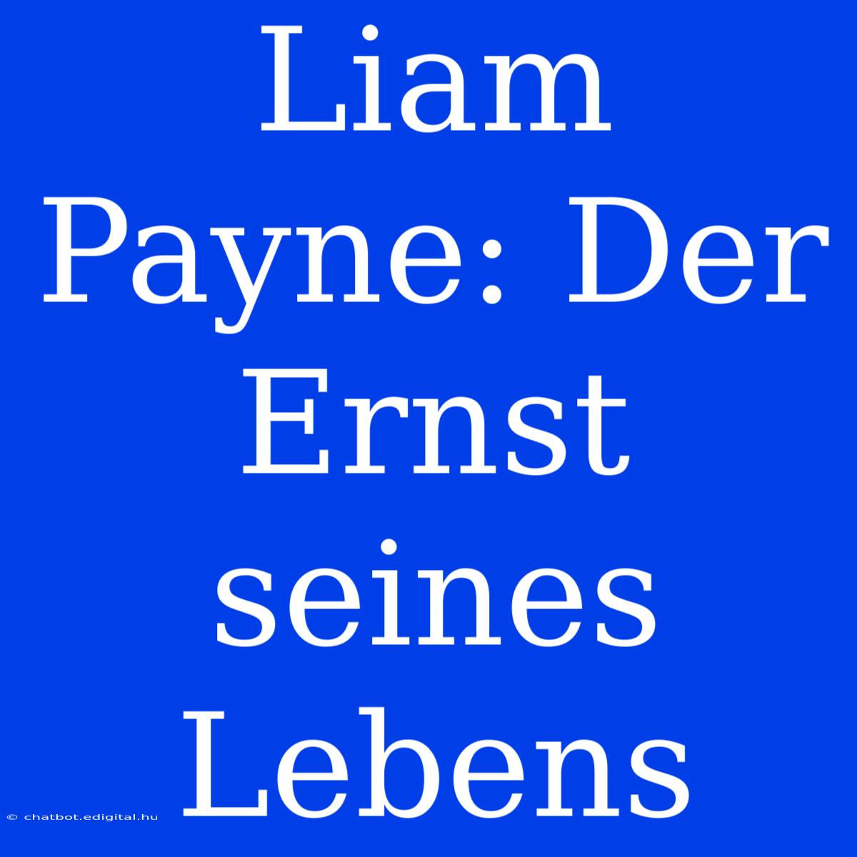 Liam Payne: Der Ernst Seines Lebens 