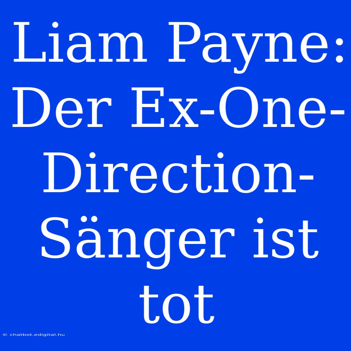 Liam Payne: Der Ex-One-Direction-Sänger Ist Tot