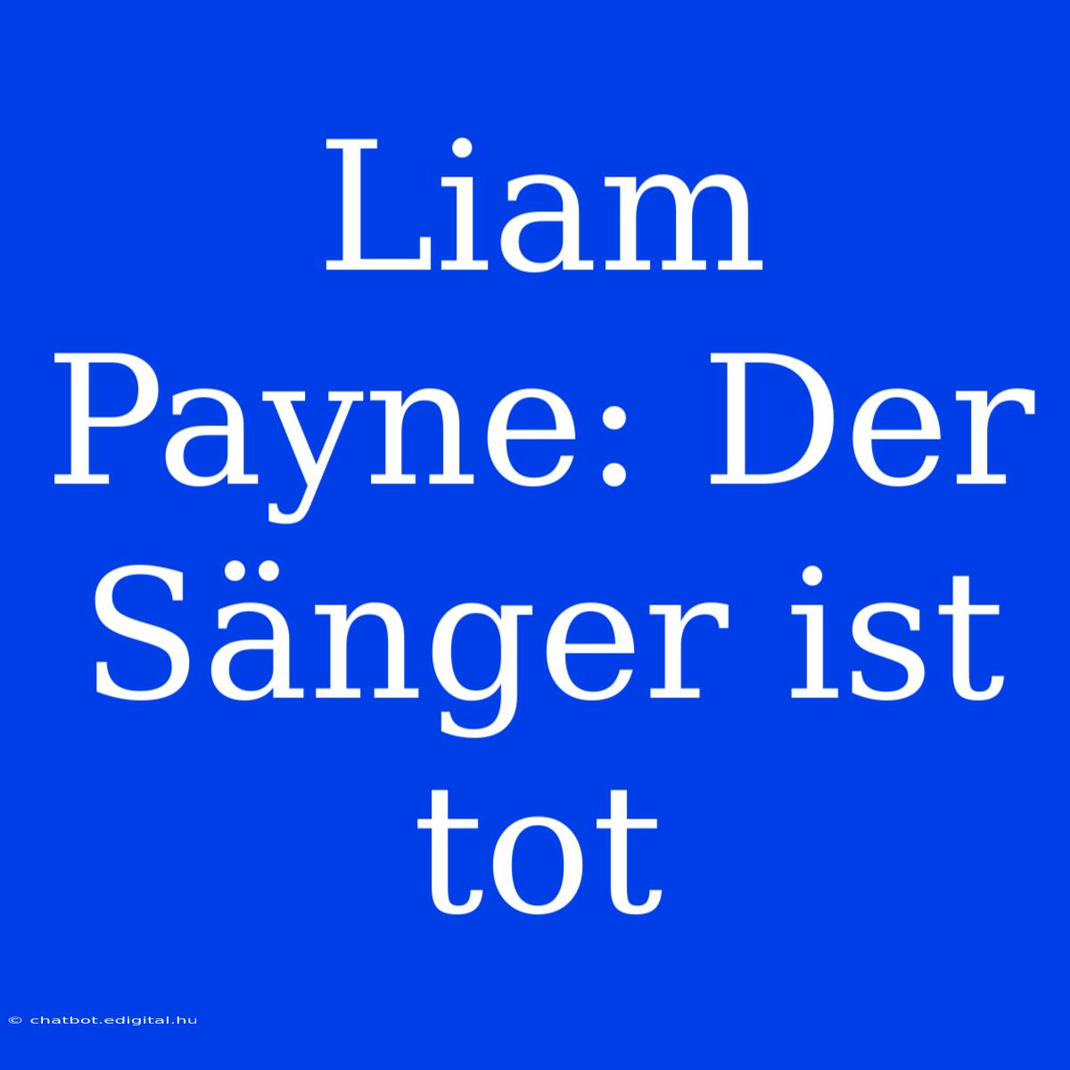 Liam Payne: Der Sänger Ist Tot