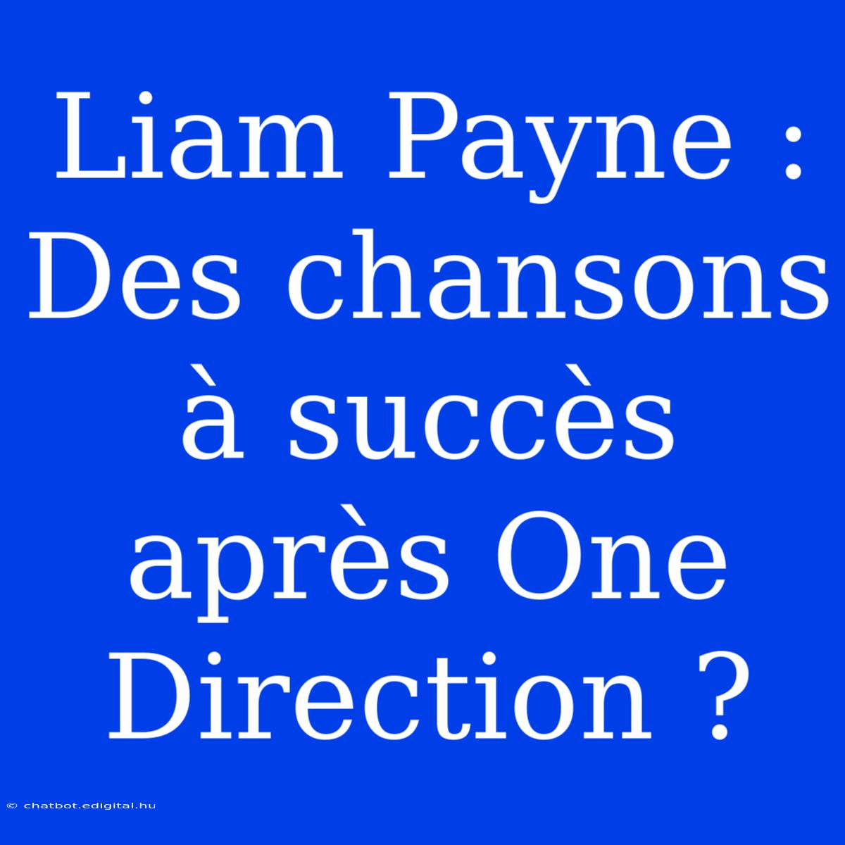 Liam Payne : Des Chansons À Succès Après One Direction ?