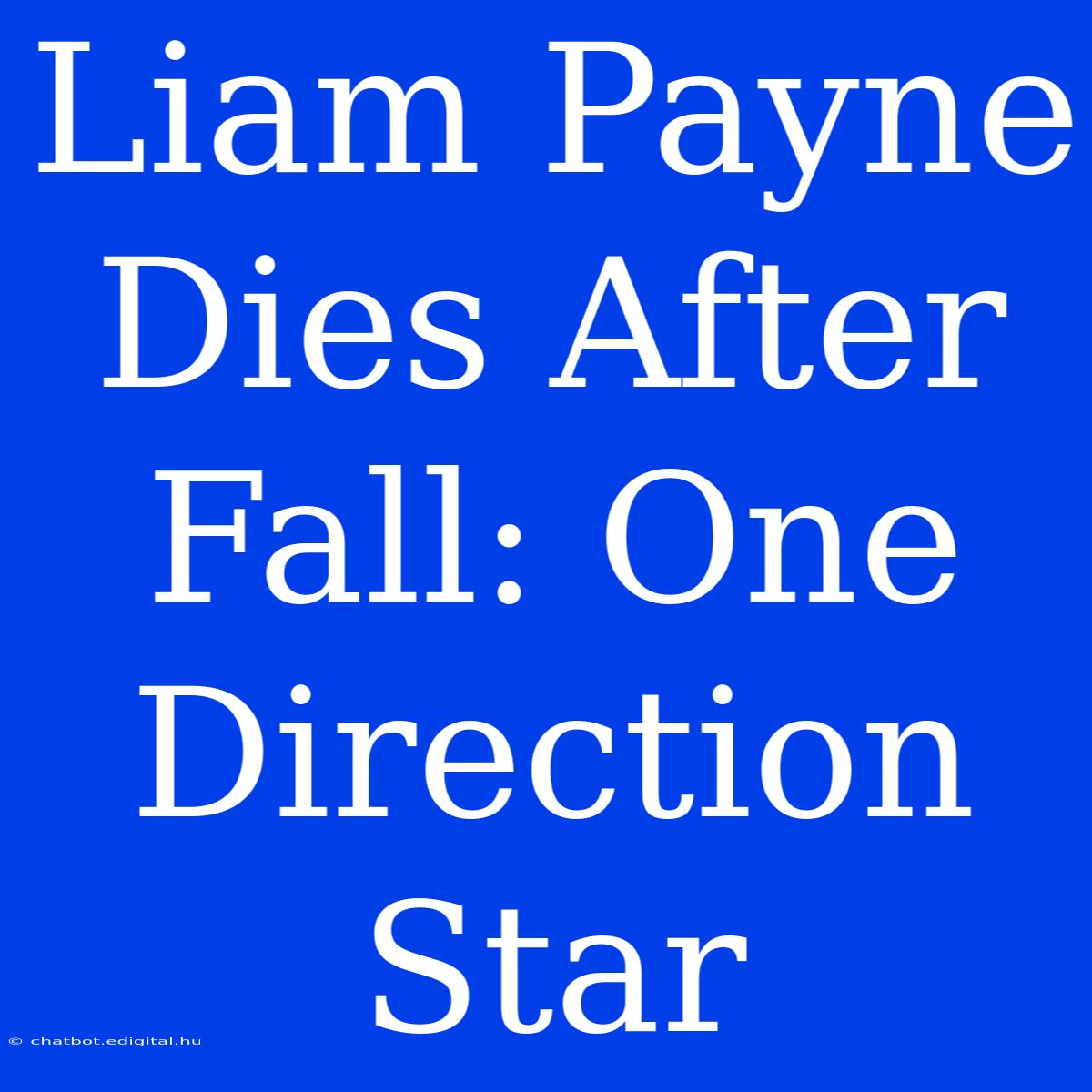 Liam Payne Dies After Fall: One Direction Star