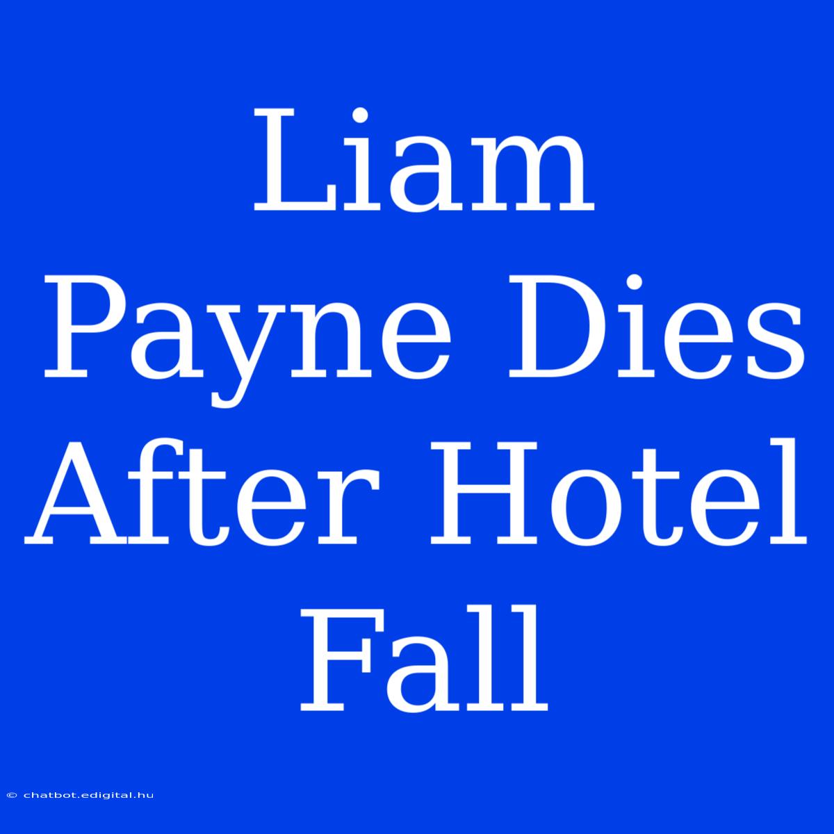 Liam Payne Dies After Hotel Fall