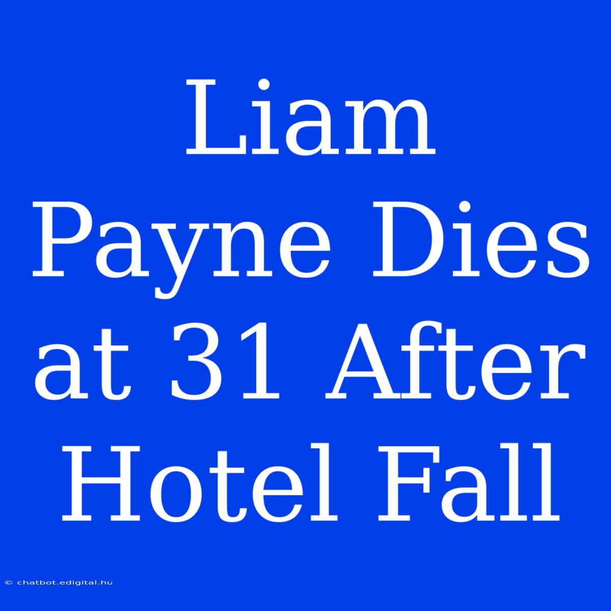 Liam Payne Dies At 31 After Hotel Fall