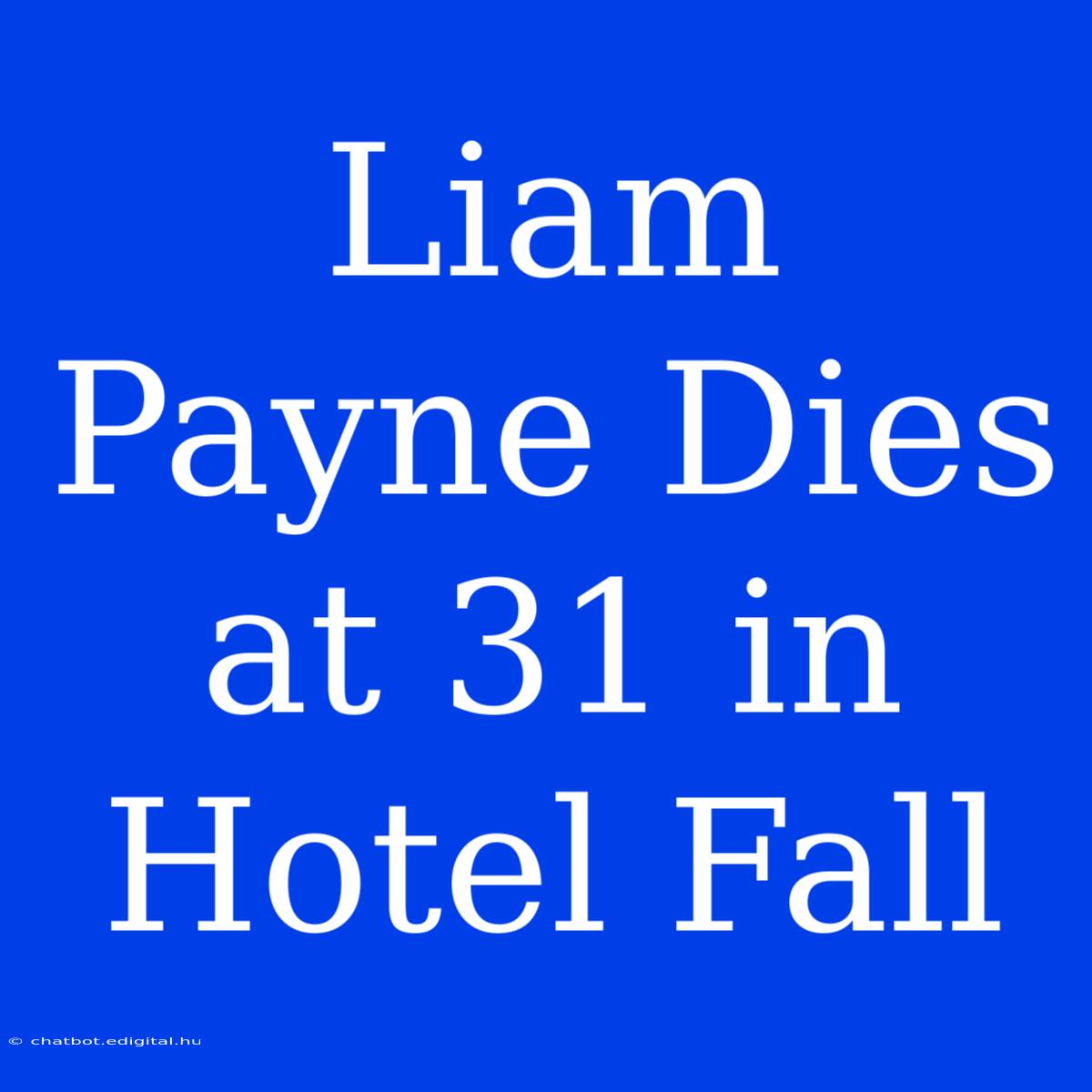 Liam Payne Dies At 31 In Hotel Fall